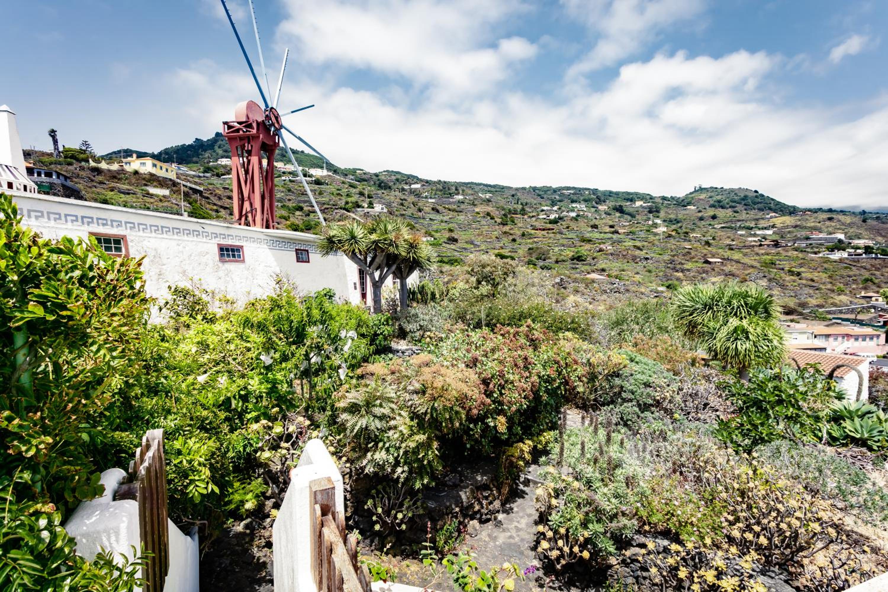 El Molino view 5