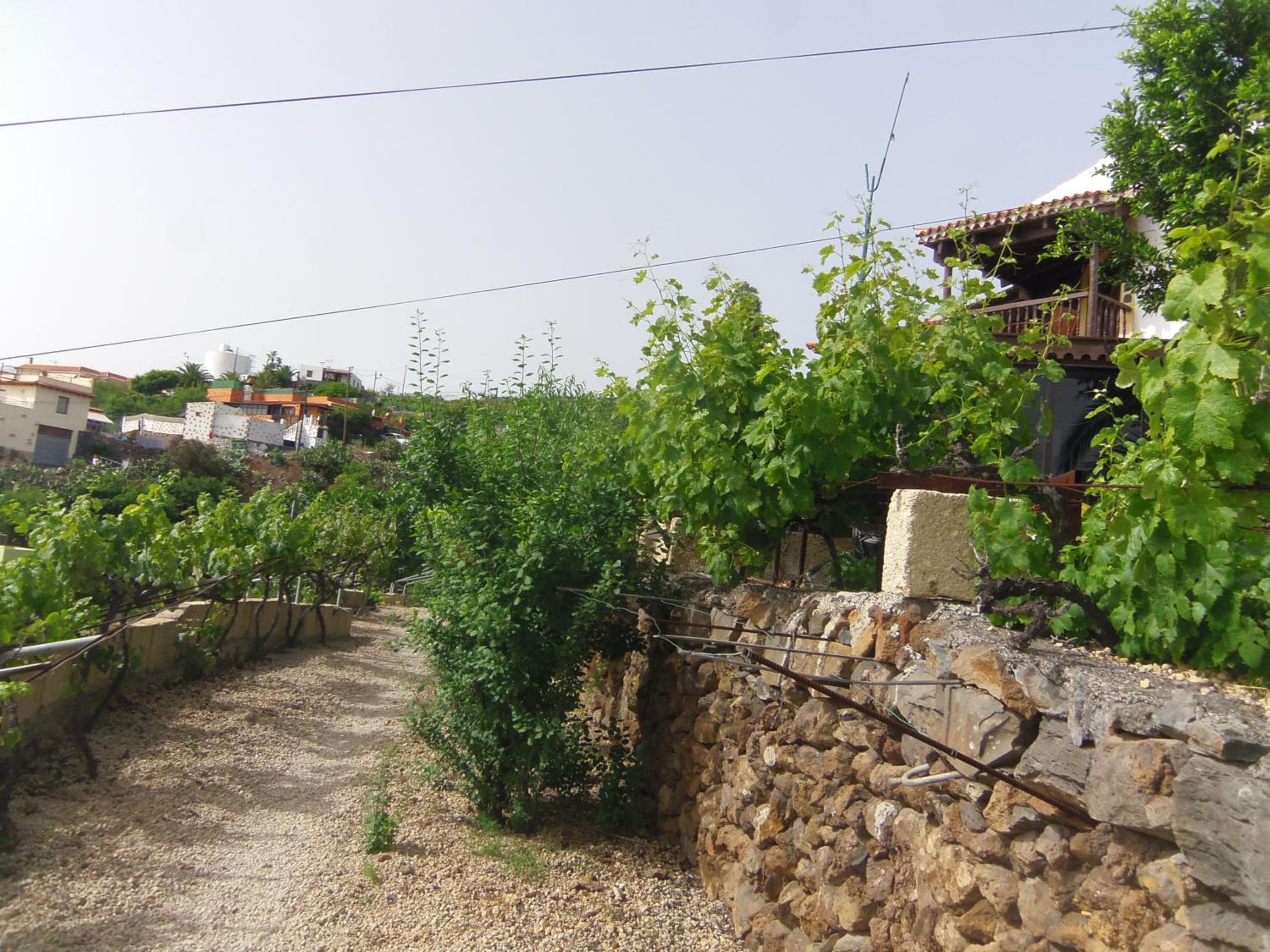 Photo 43