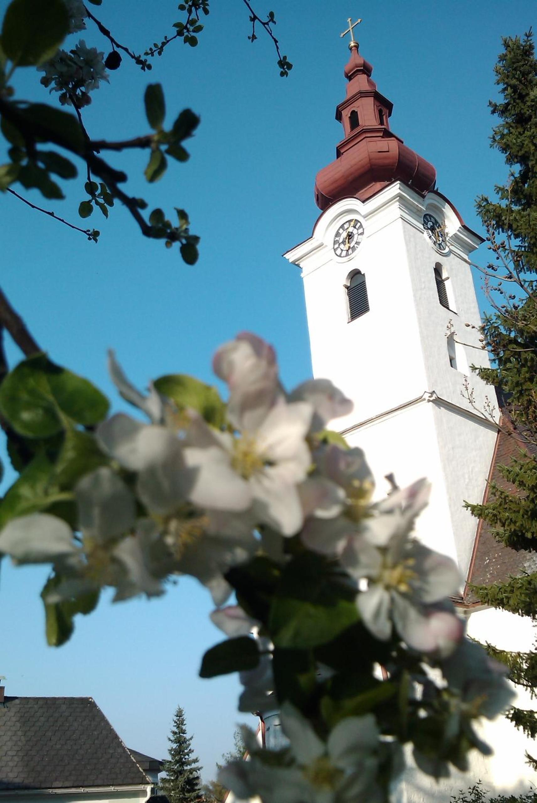 Hotel - Landgasthof Winklehner