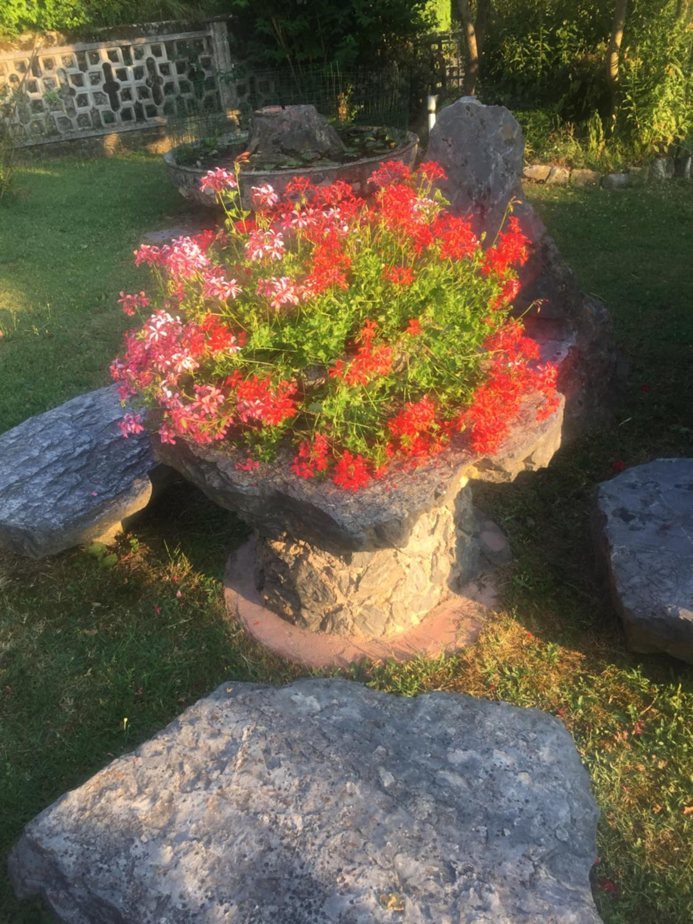 Il Ghiro B&B photo 2