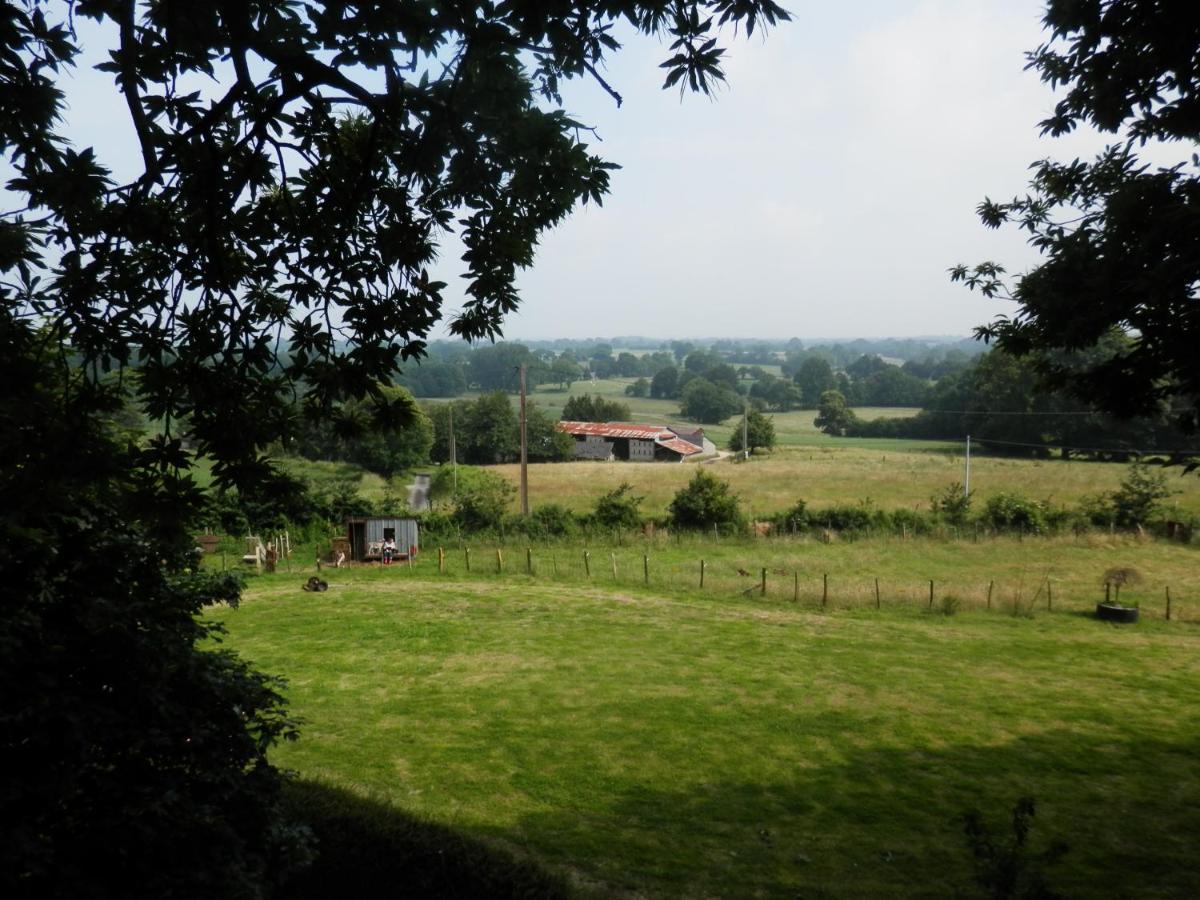 Photo 13