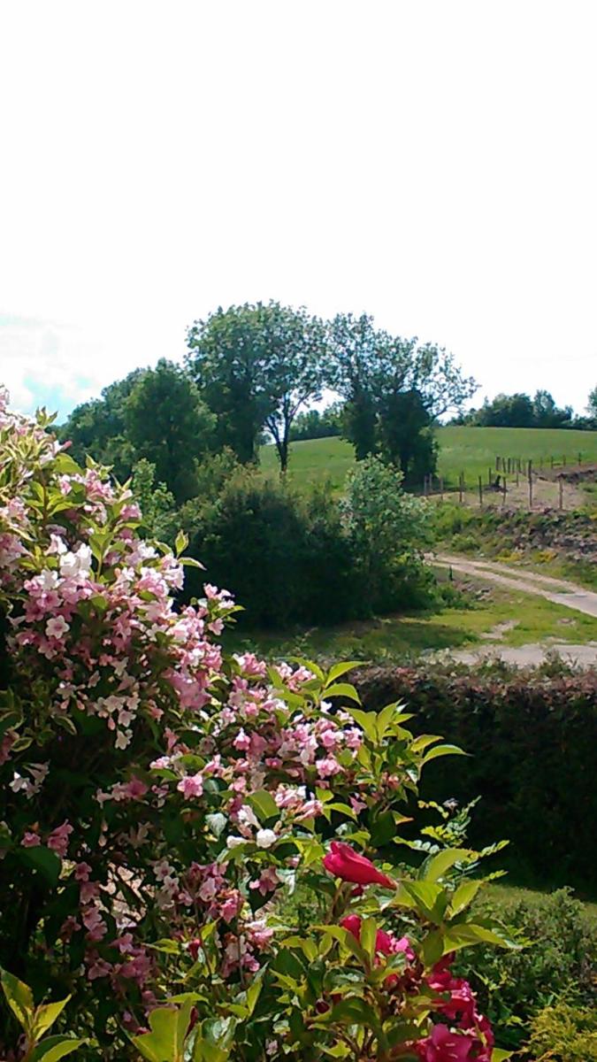 Photo 24