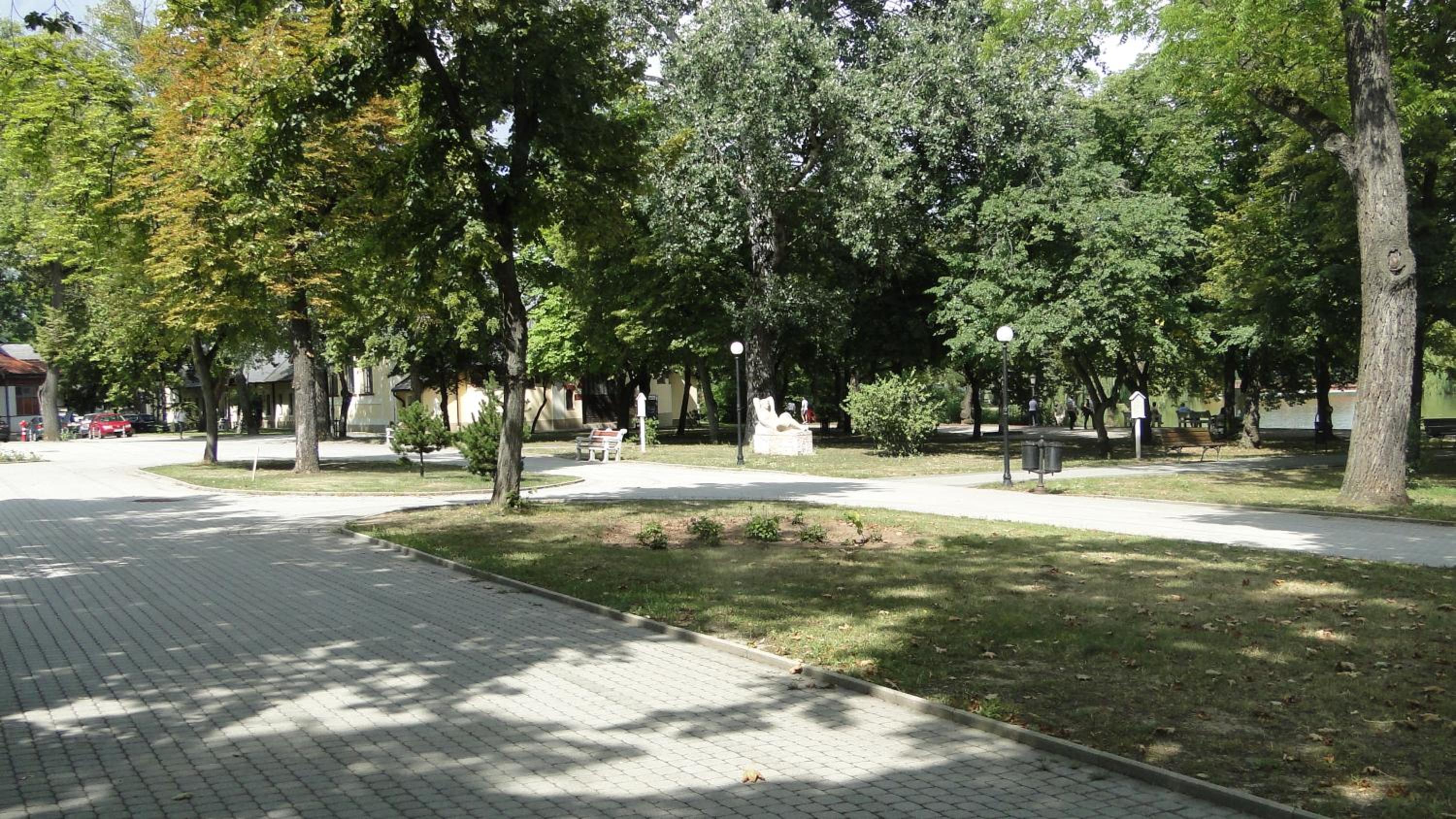 Photo 21