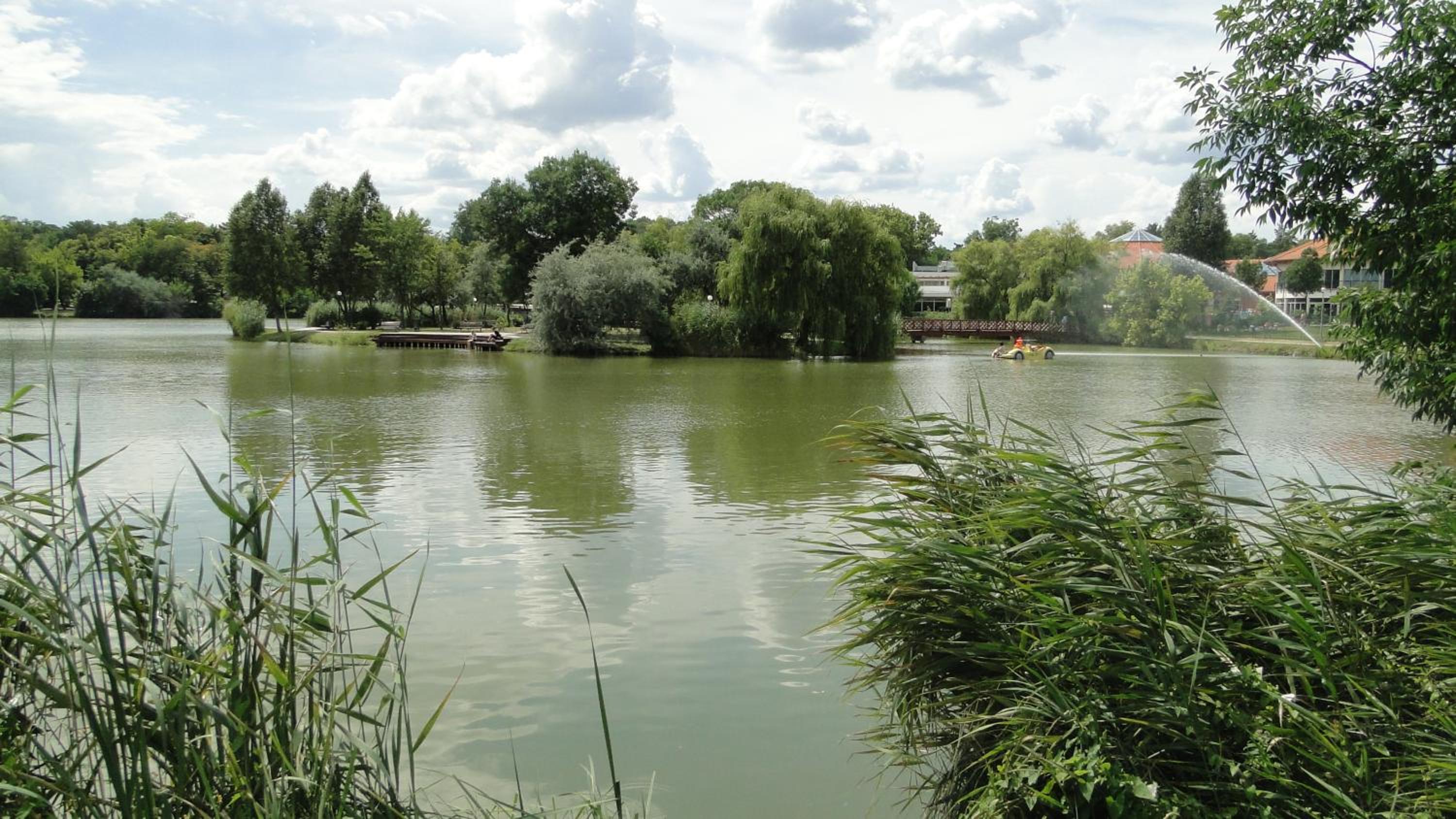 Photo 43