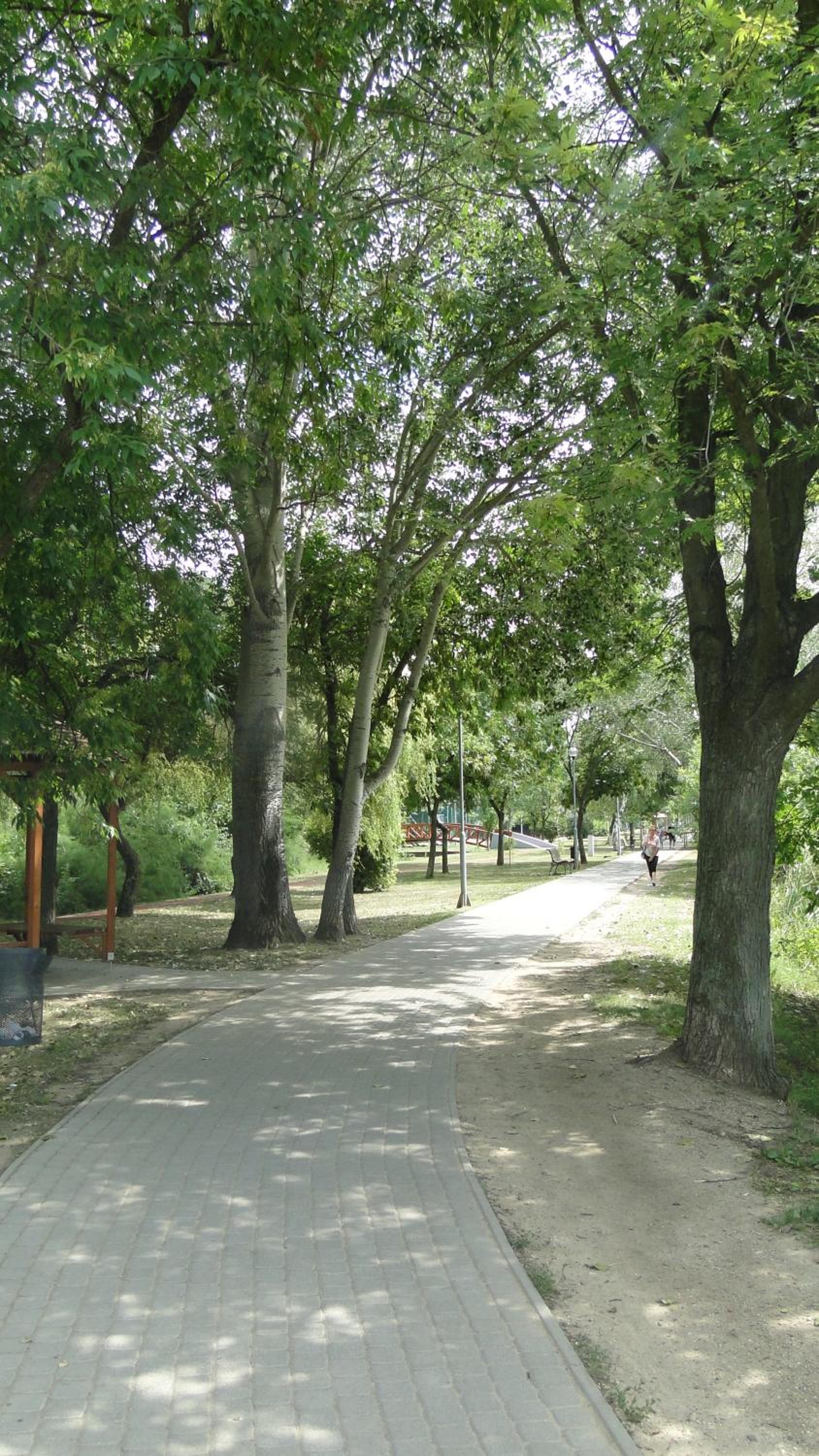 Photo 41