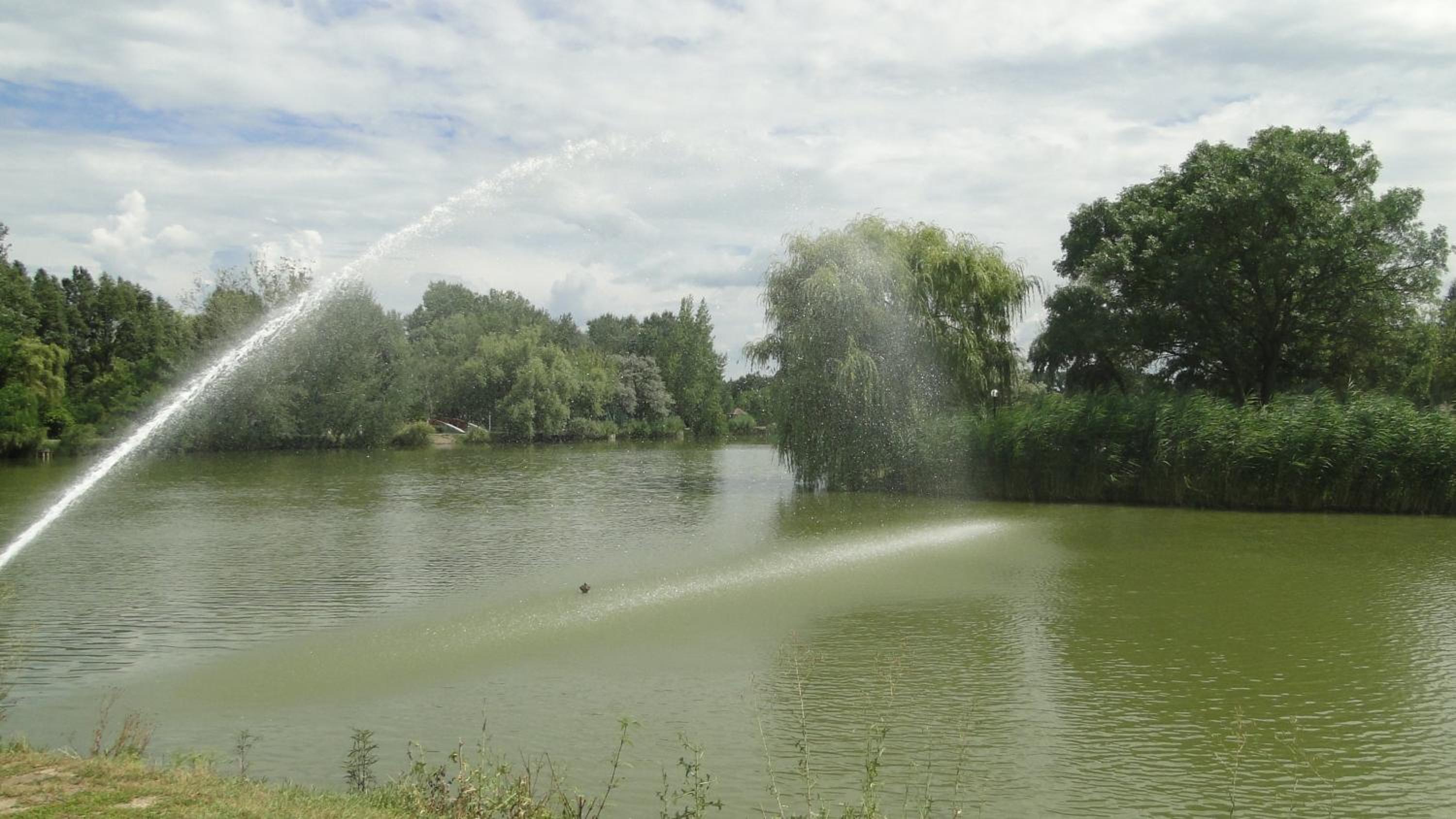 Photo 36