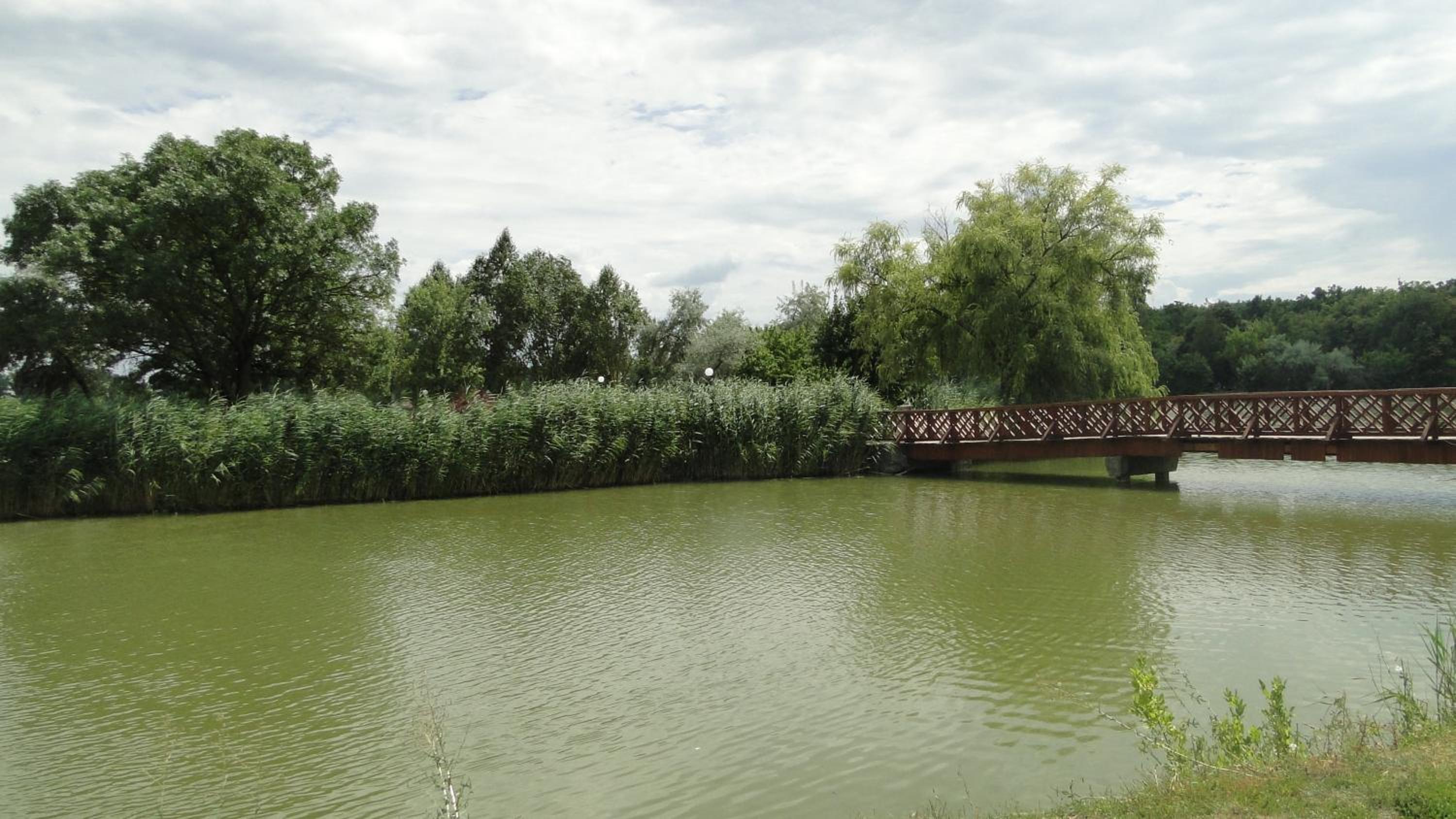 Photo 45