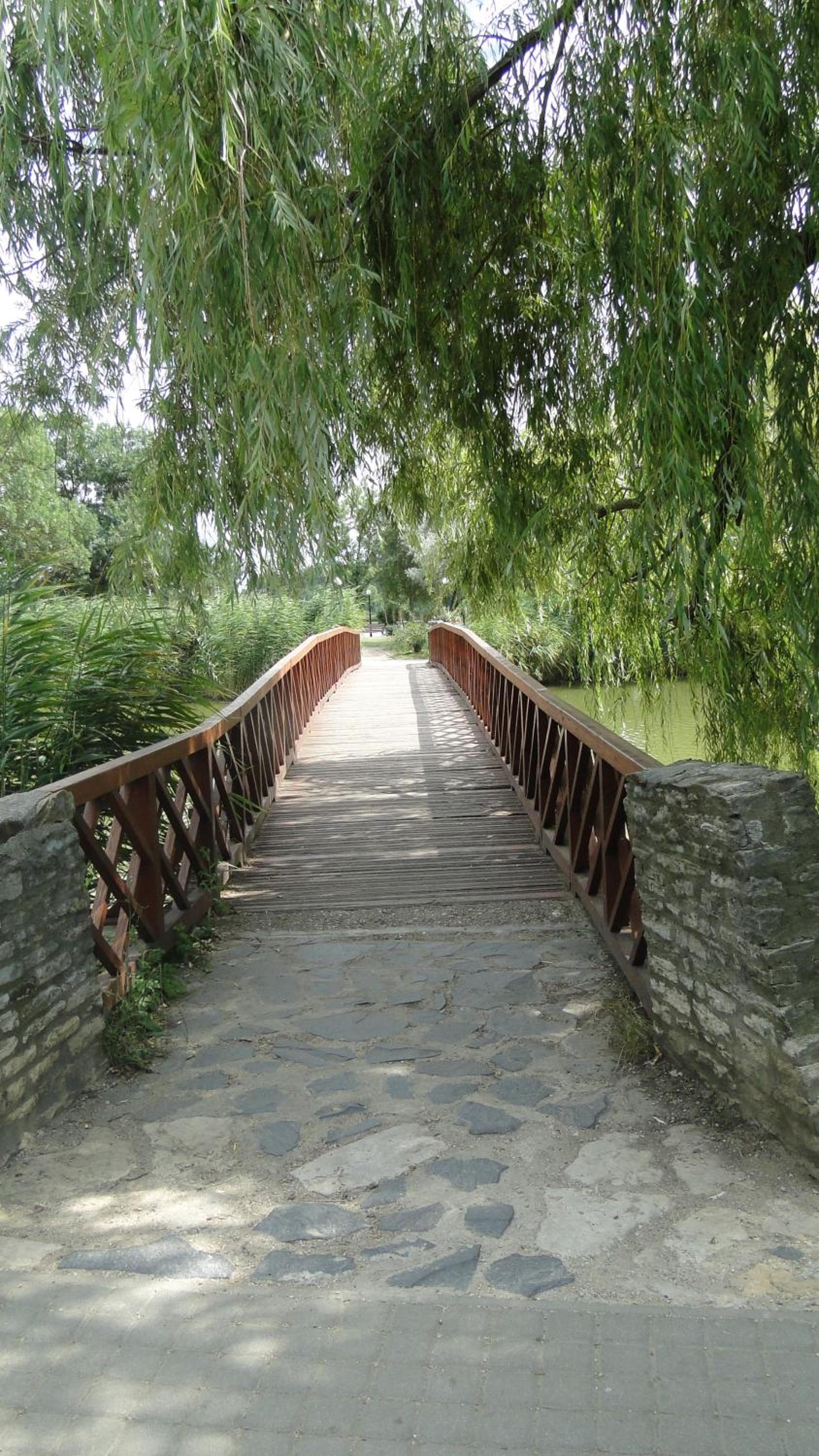 Photo 44