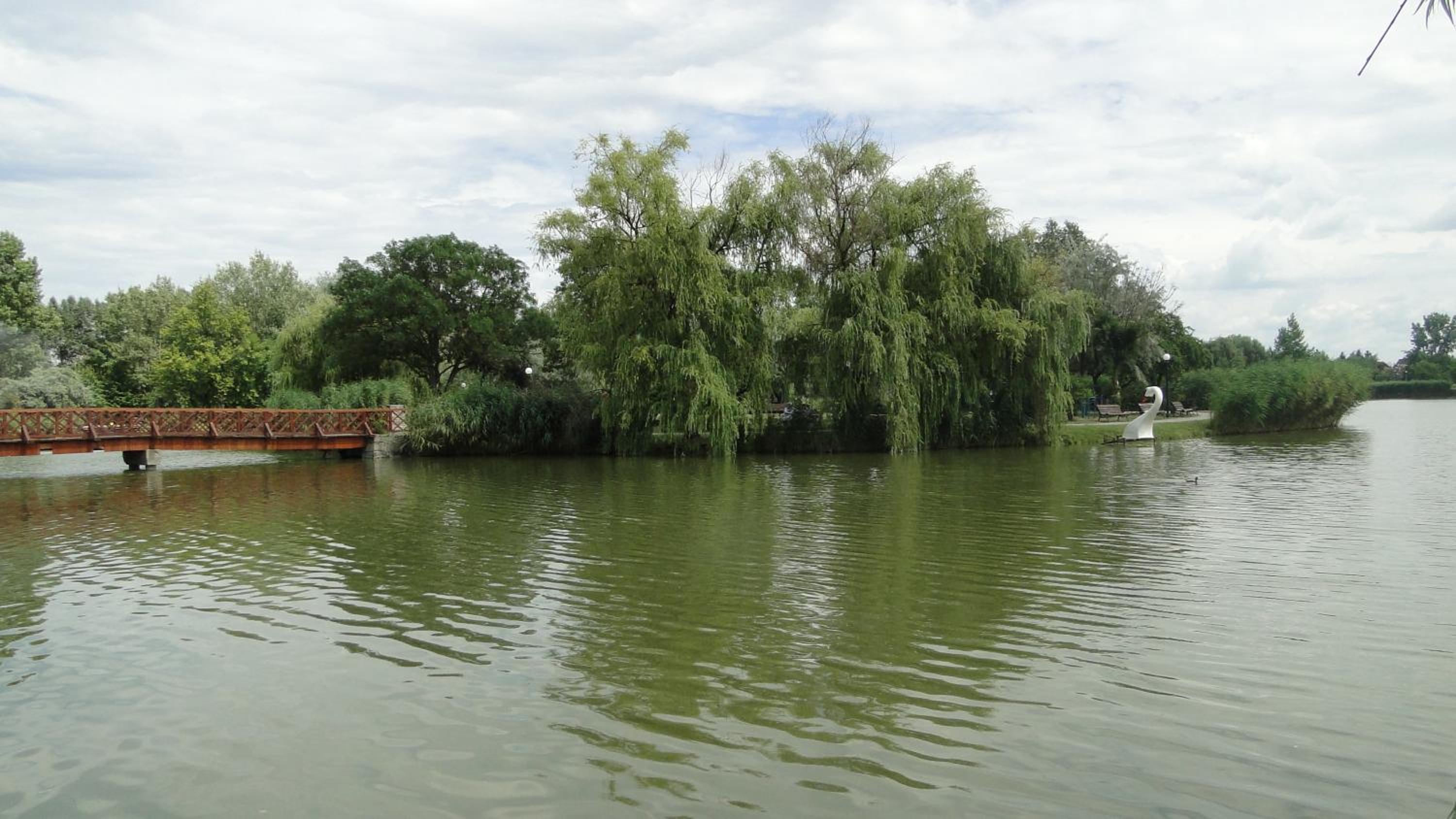 Photo 38
