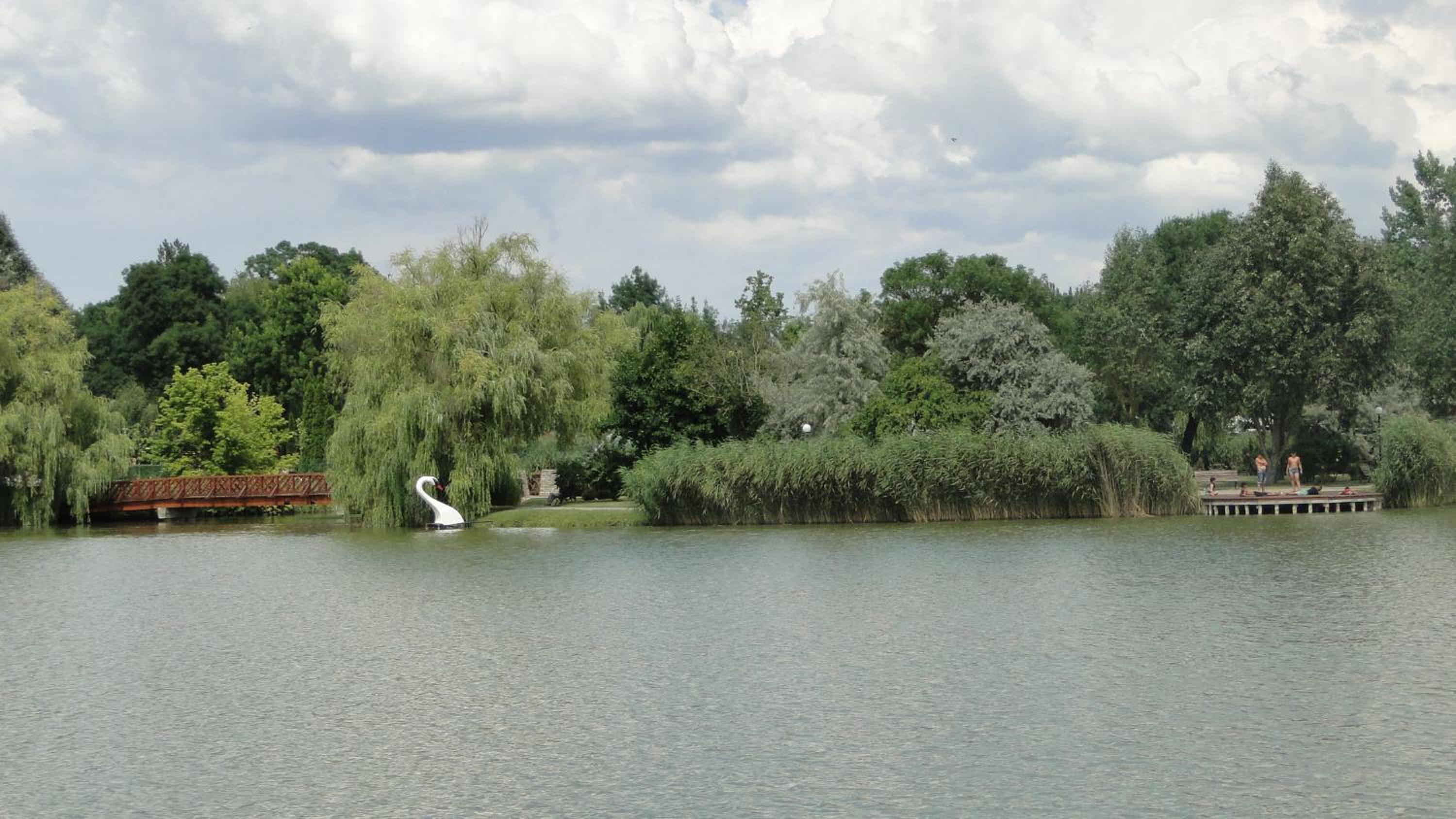 Photo 47