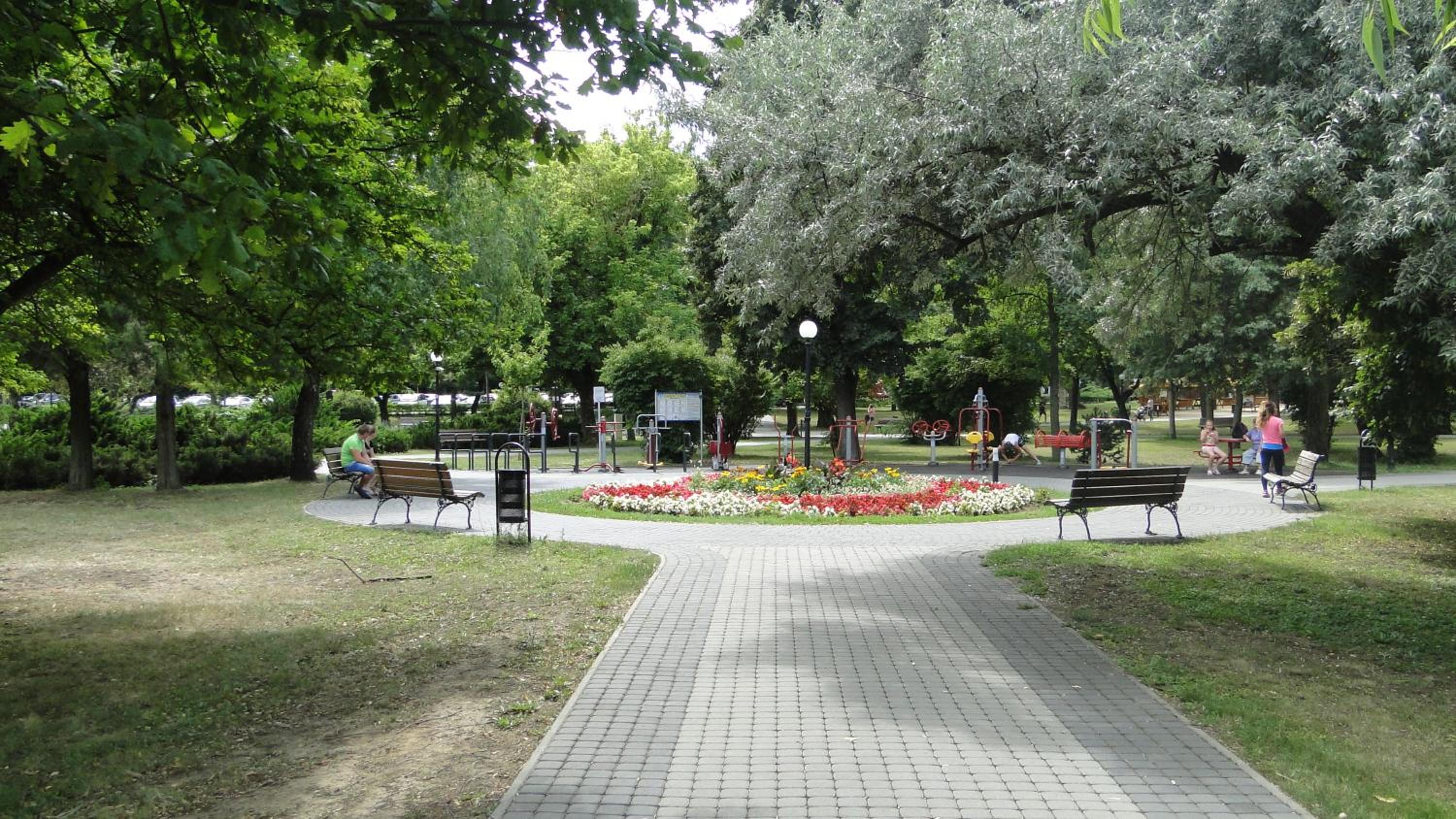 Photo 49
