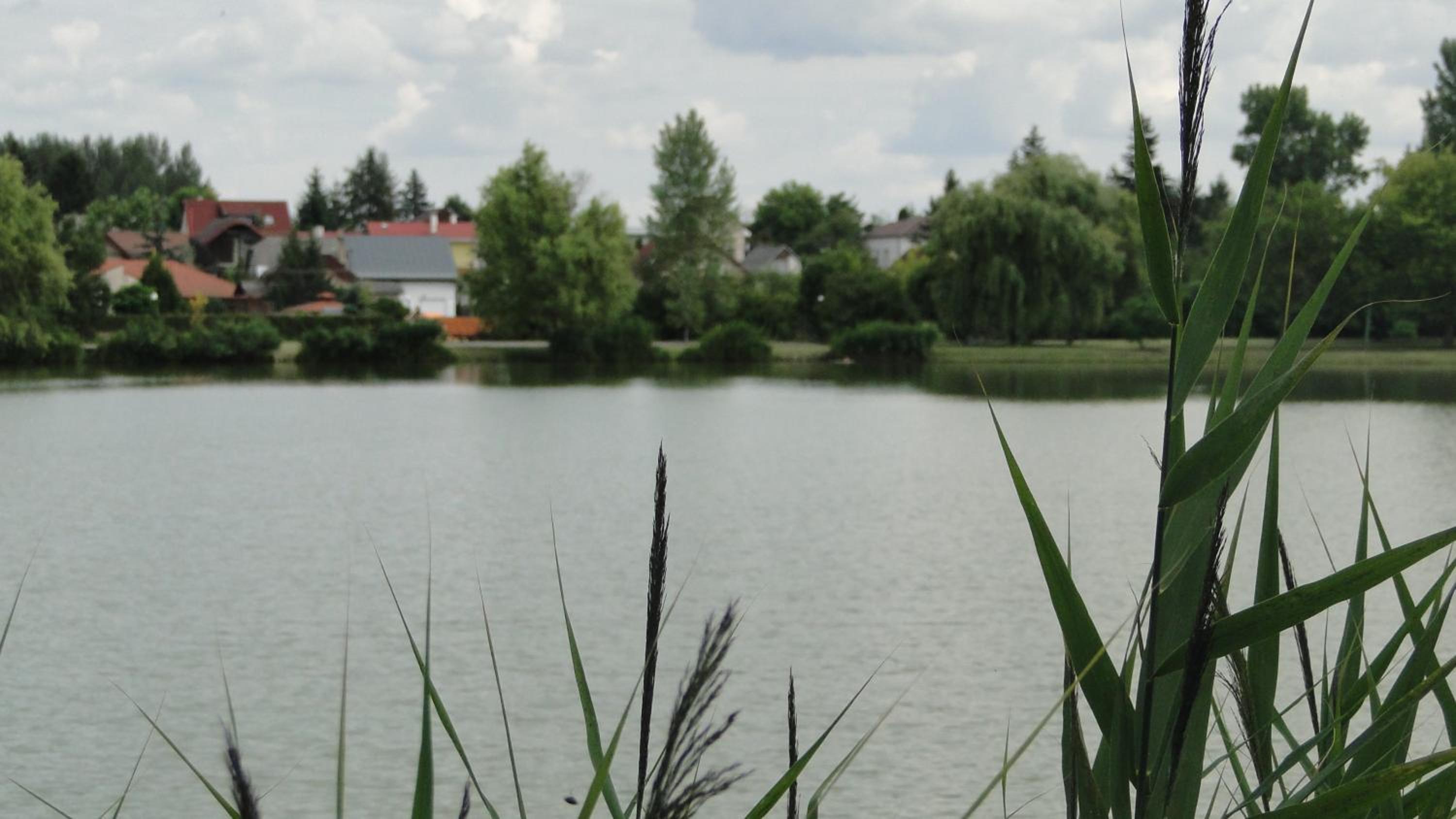 Photo 54