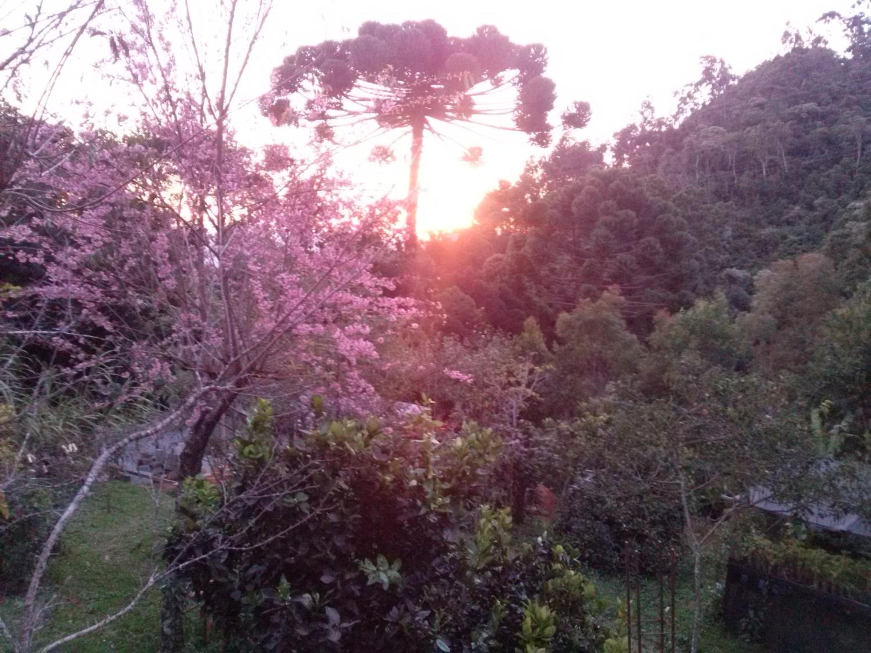 Casa Estilo Kitnet
