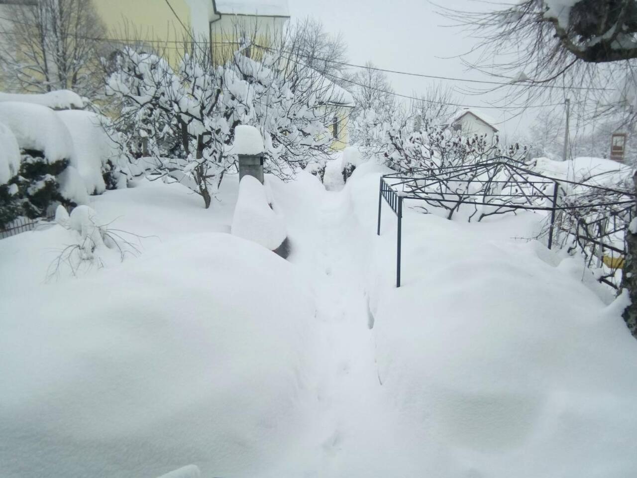 Guesthouse Pavličić