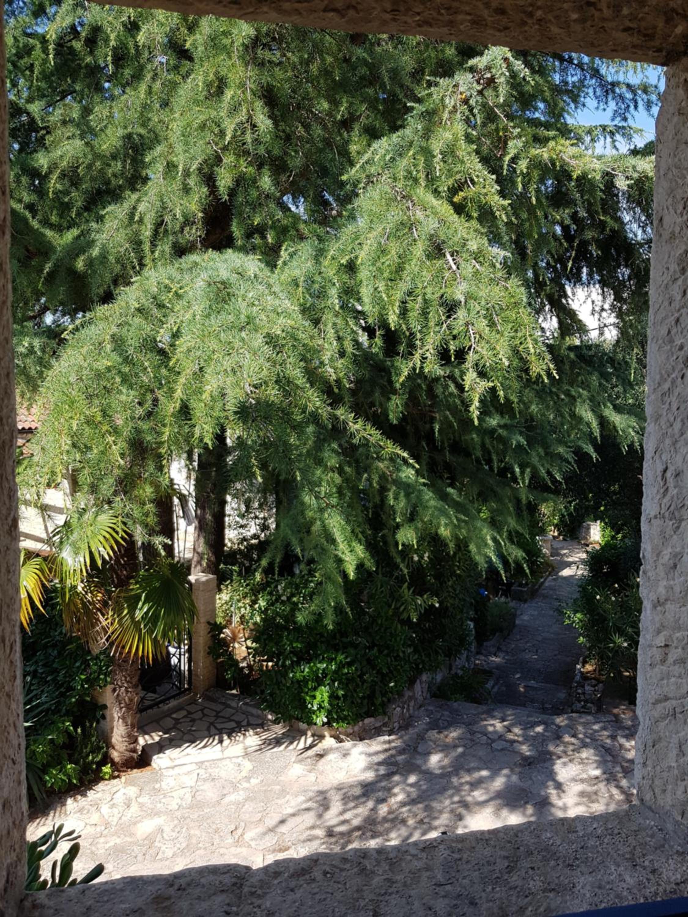 Photo 28