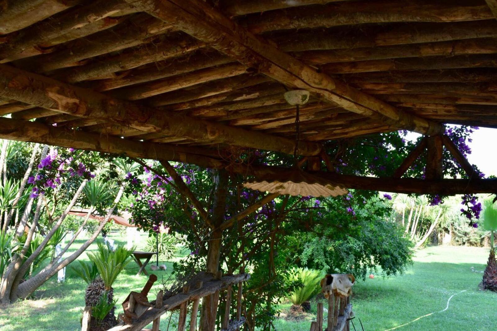 Decri resort, photo 71