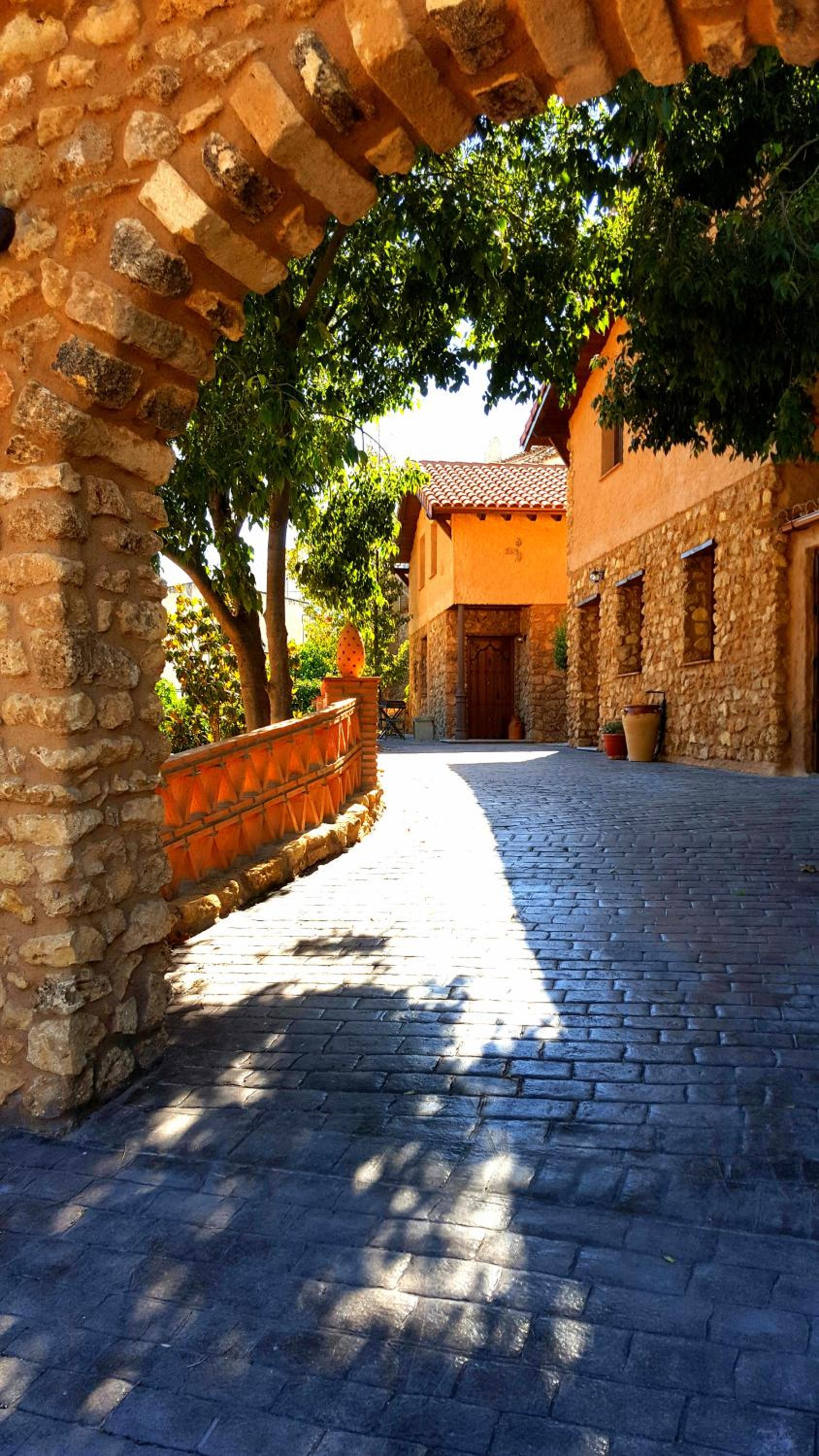 Photo 43