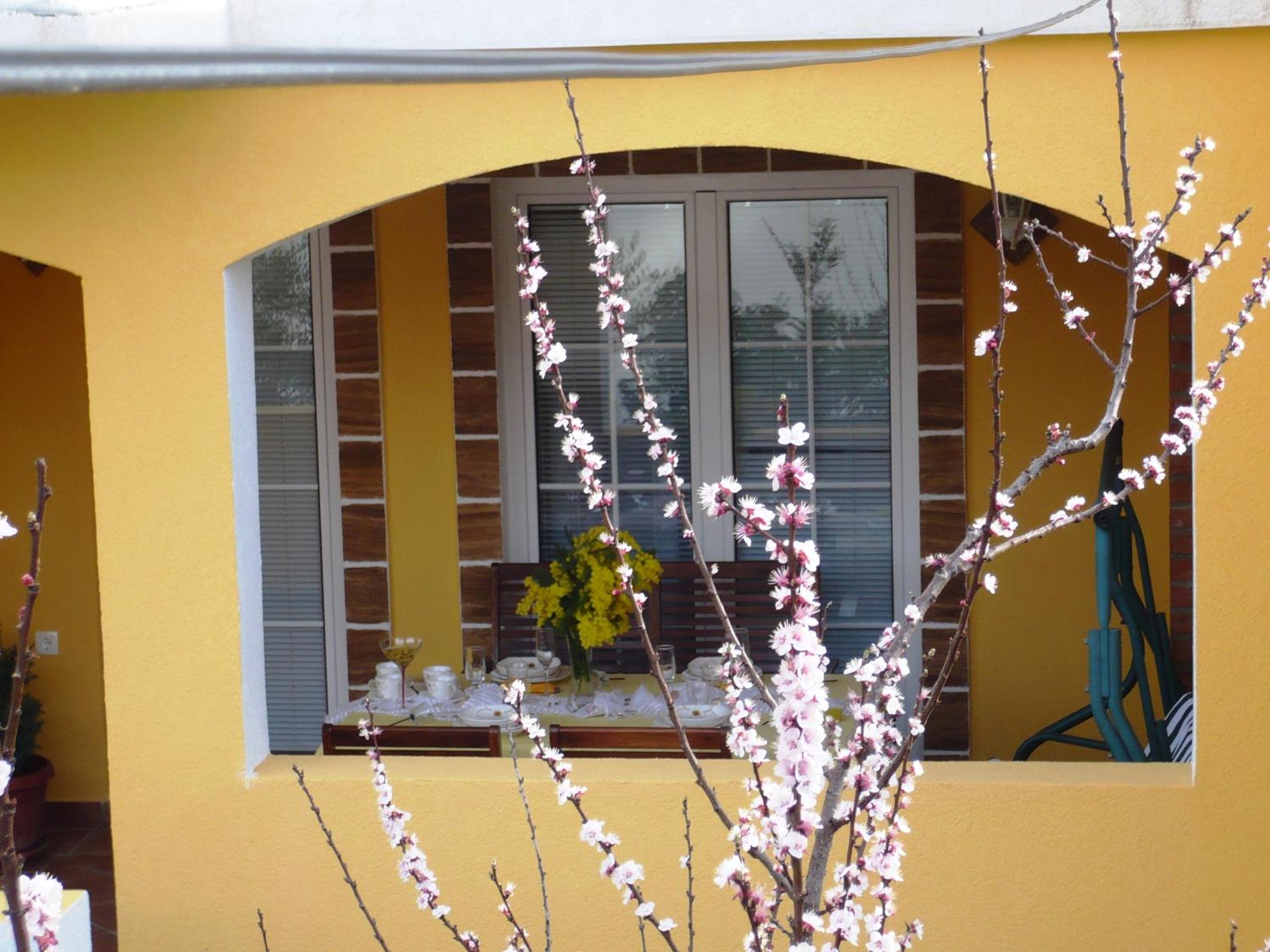 Apartments Brač