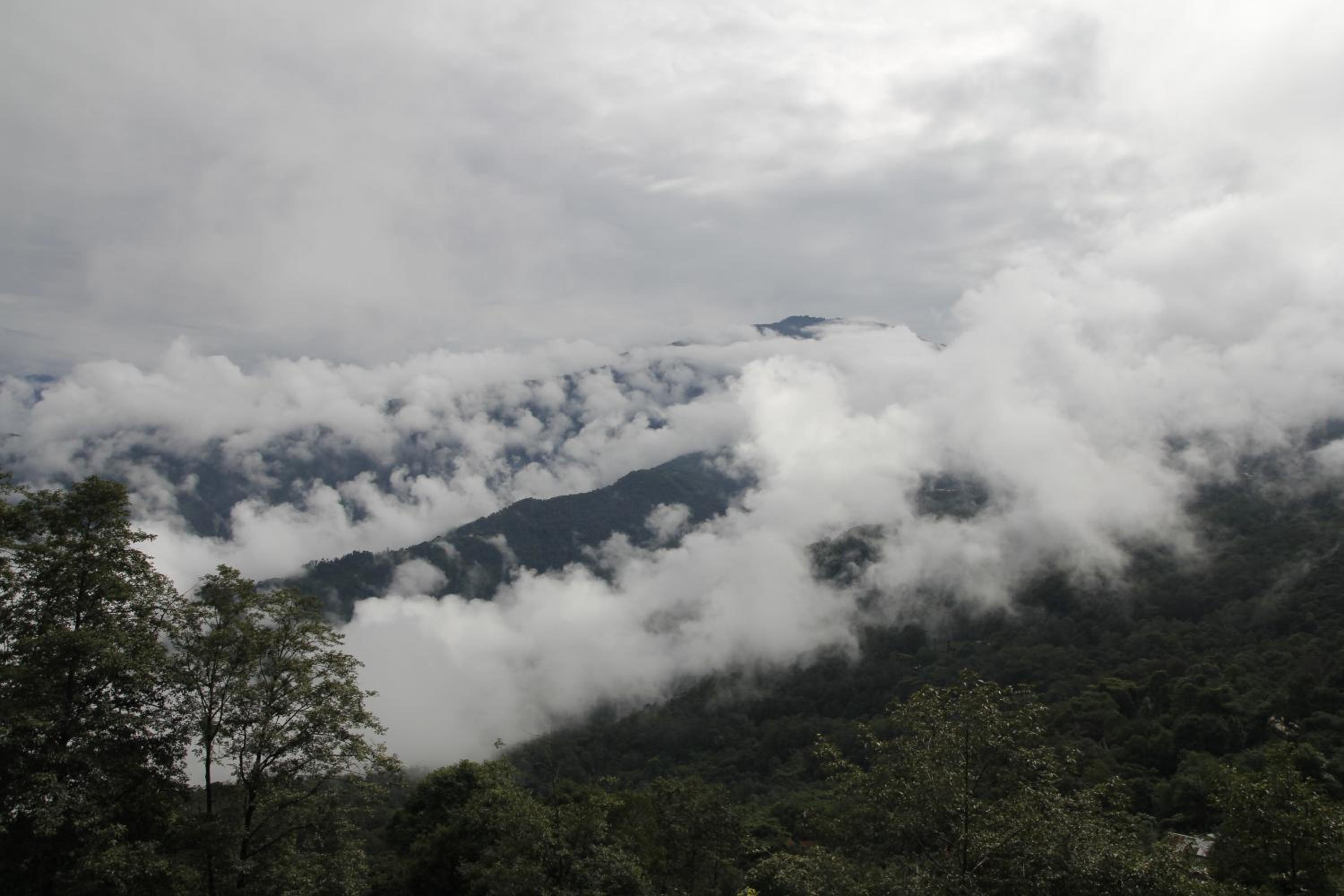 Photo 42