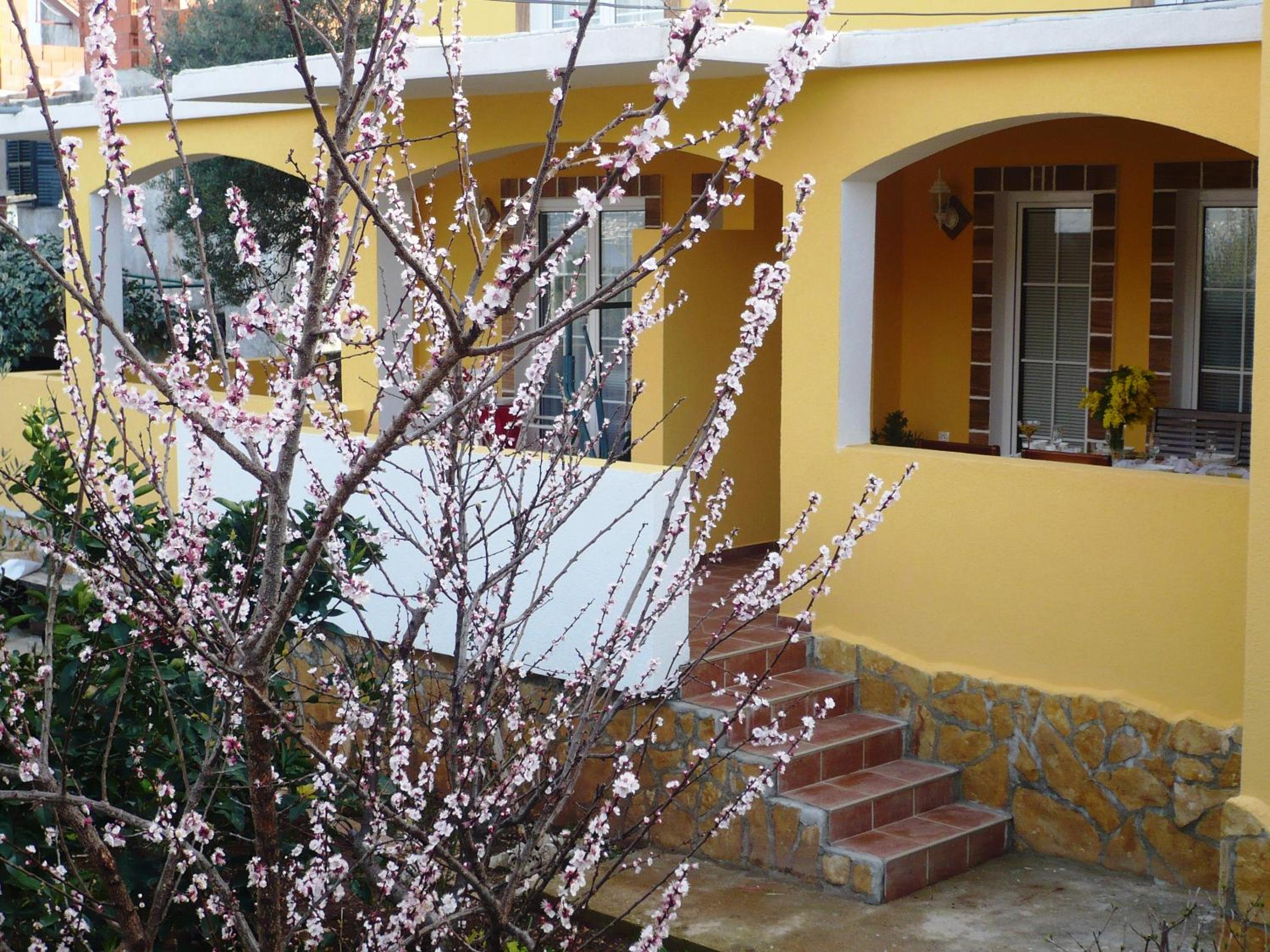 Apartments Brač