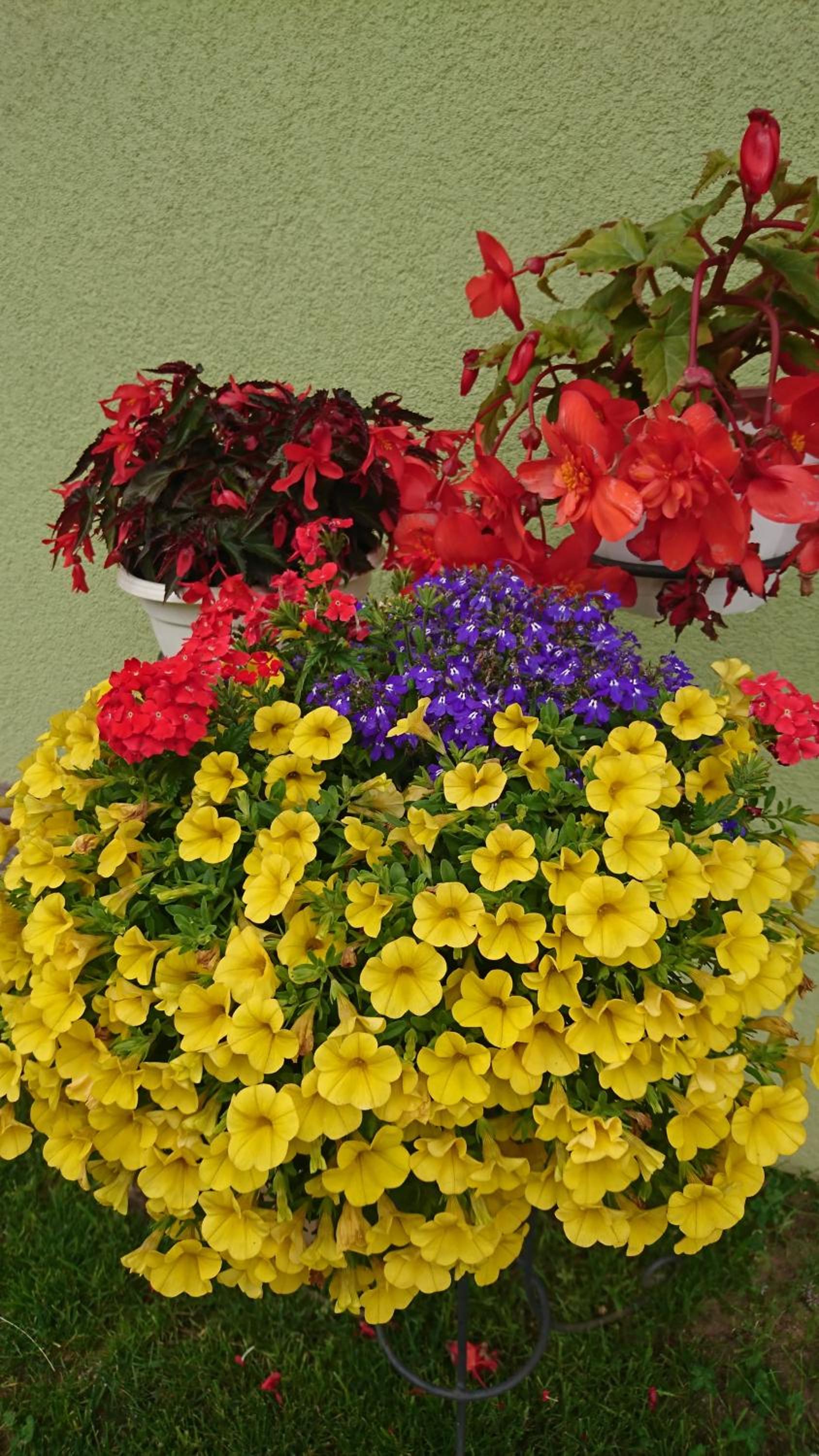 Photo 24