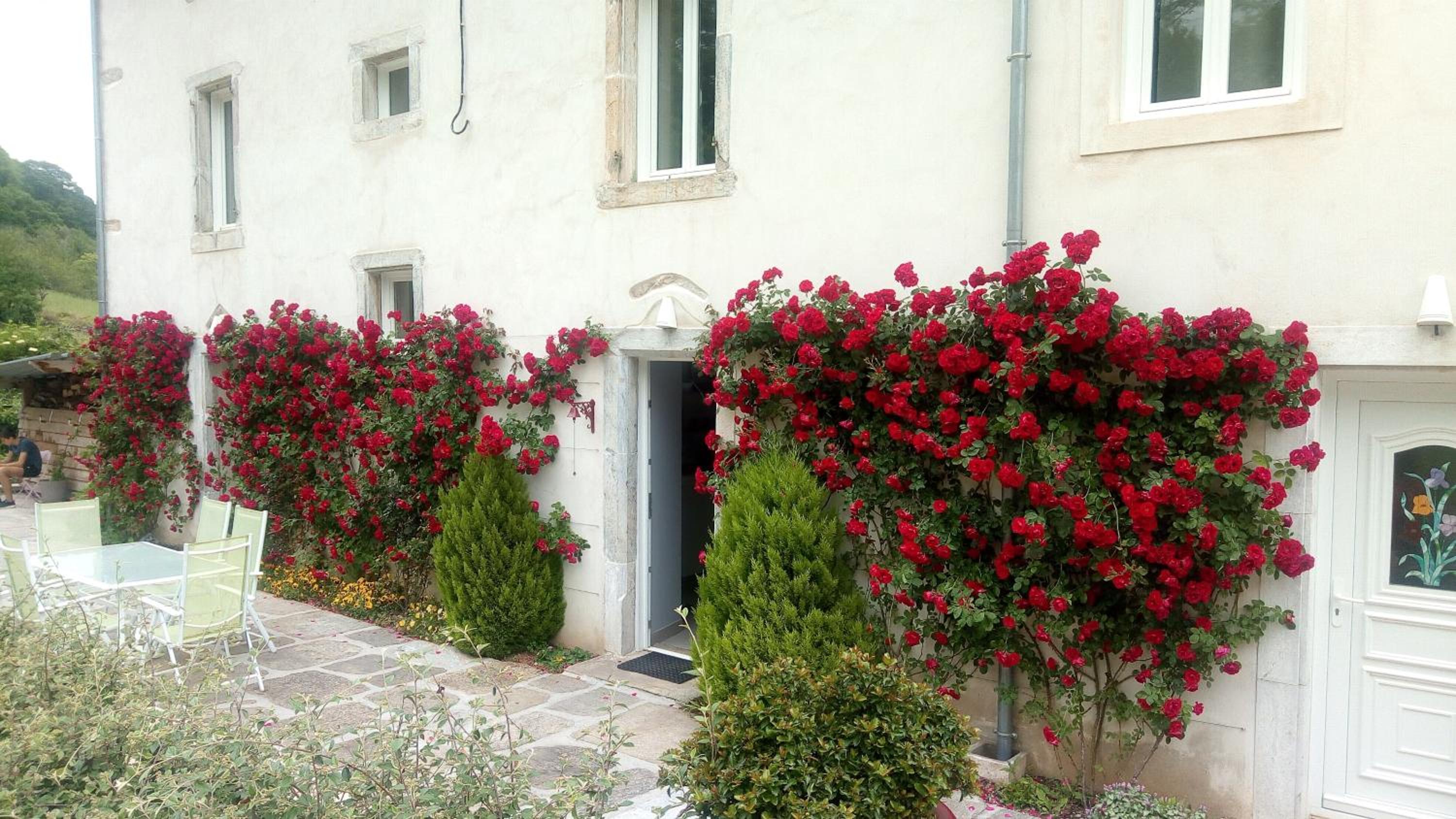 Photo 7