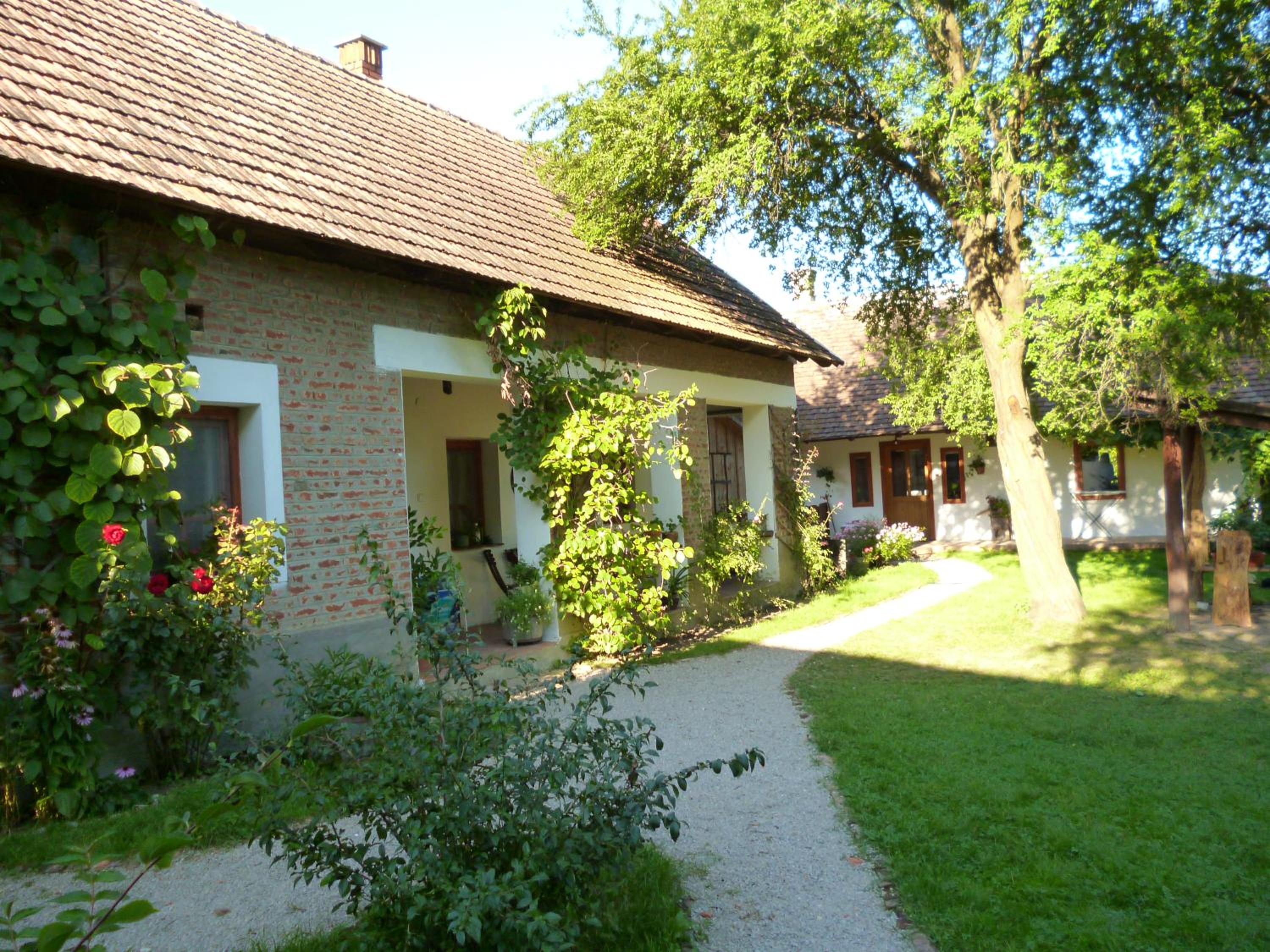 Photo 51