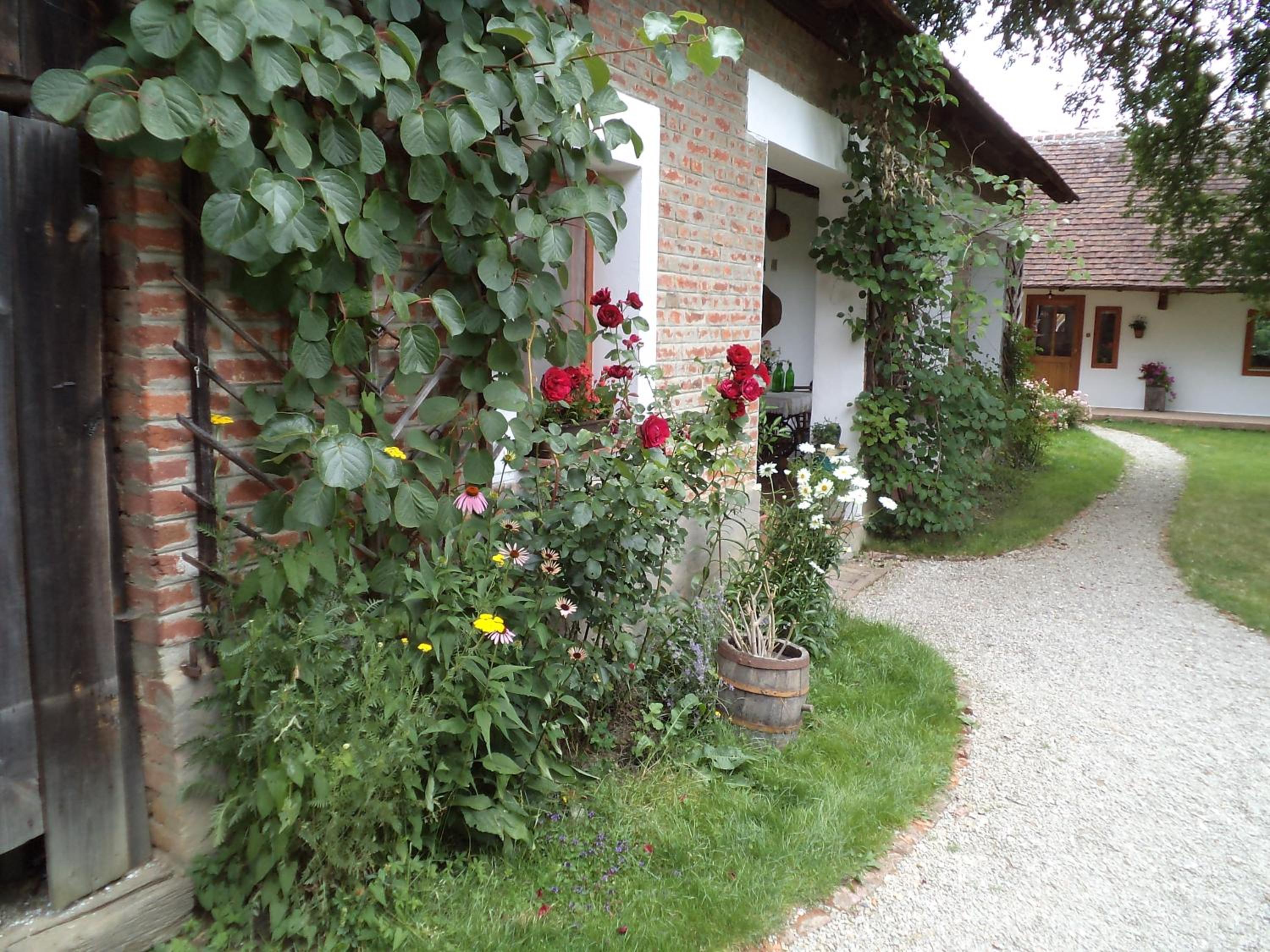 Photo 48