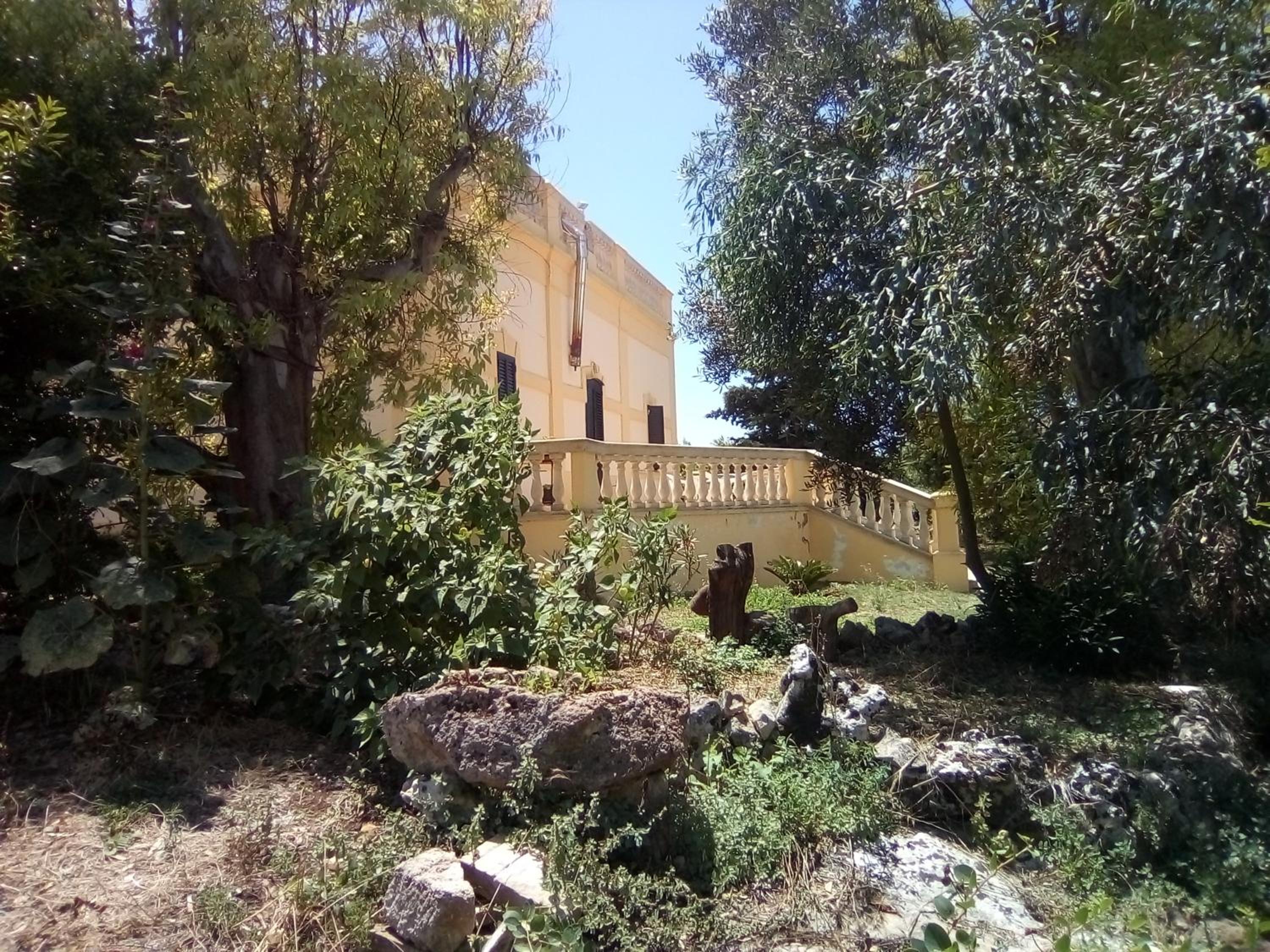 Photo 26