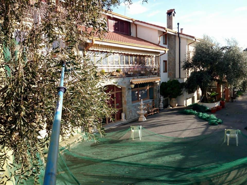 Photo 17