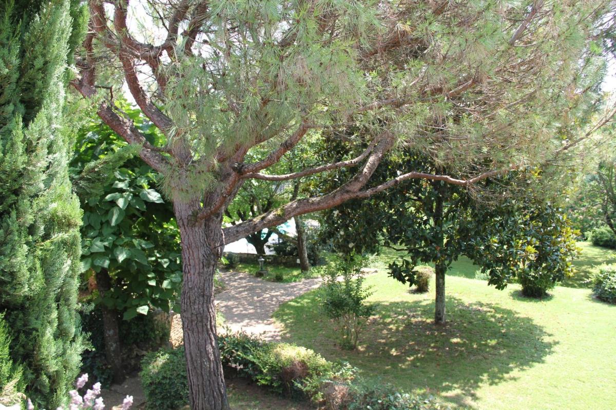 Photo 47