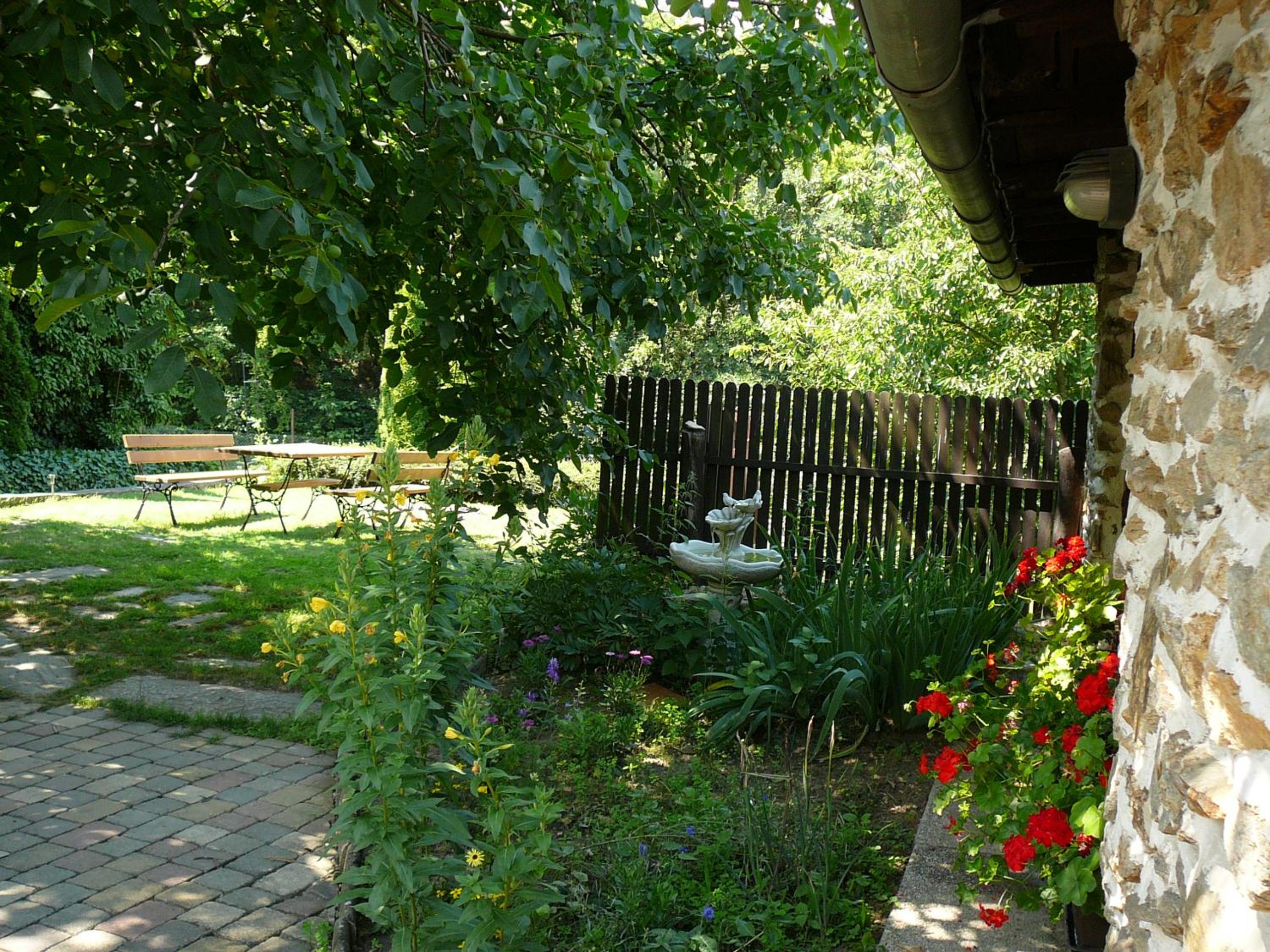 Photo 10