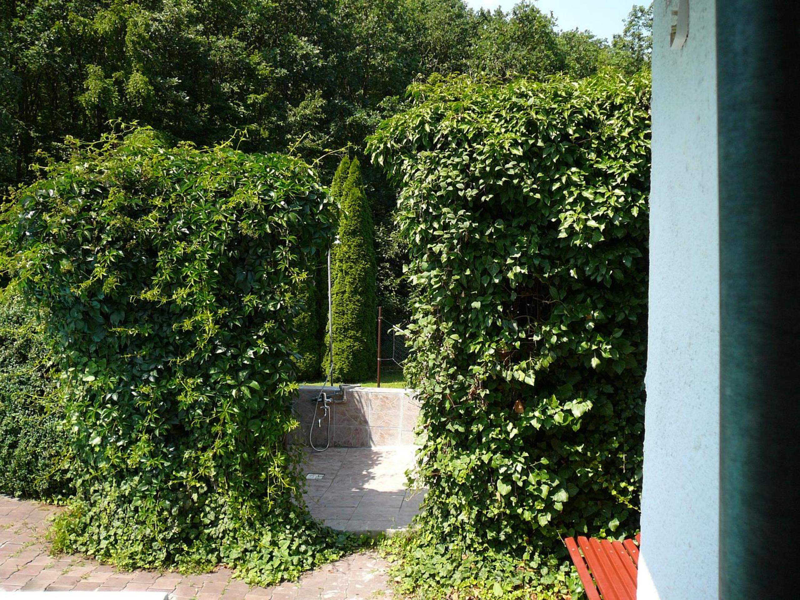 Photo 22