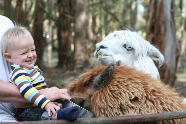 Margaret River Hideaway & Farmstay
