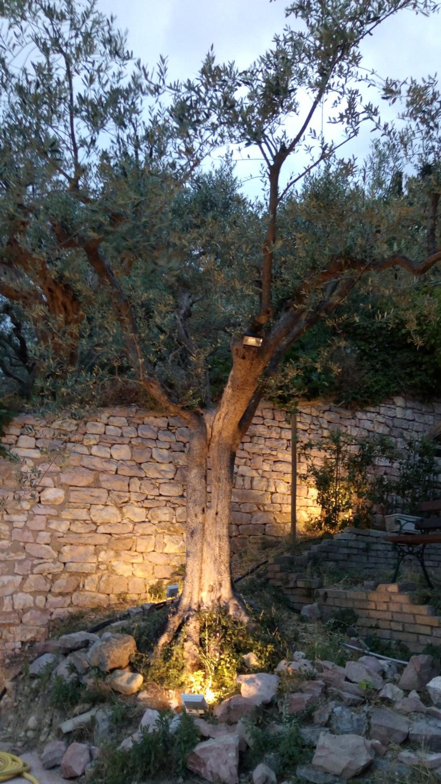 Photo 10