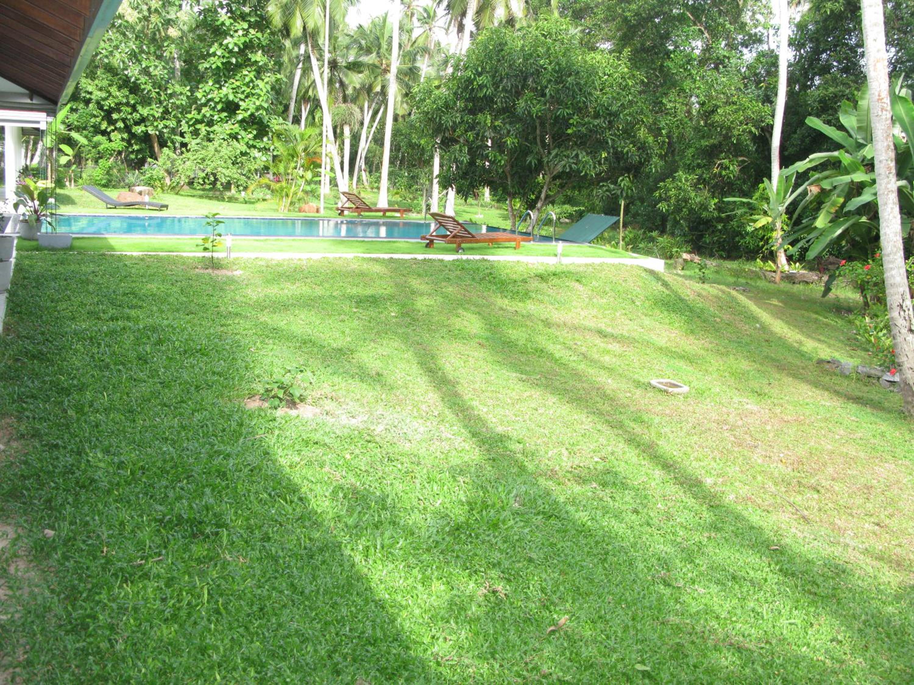 Photo 53