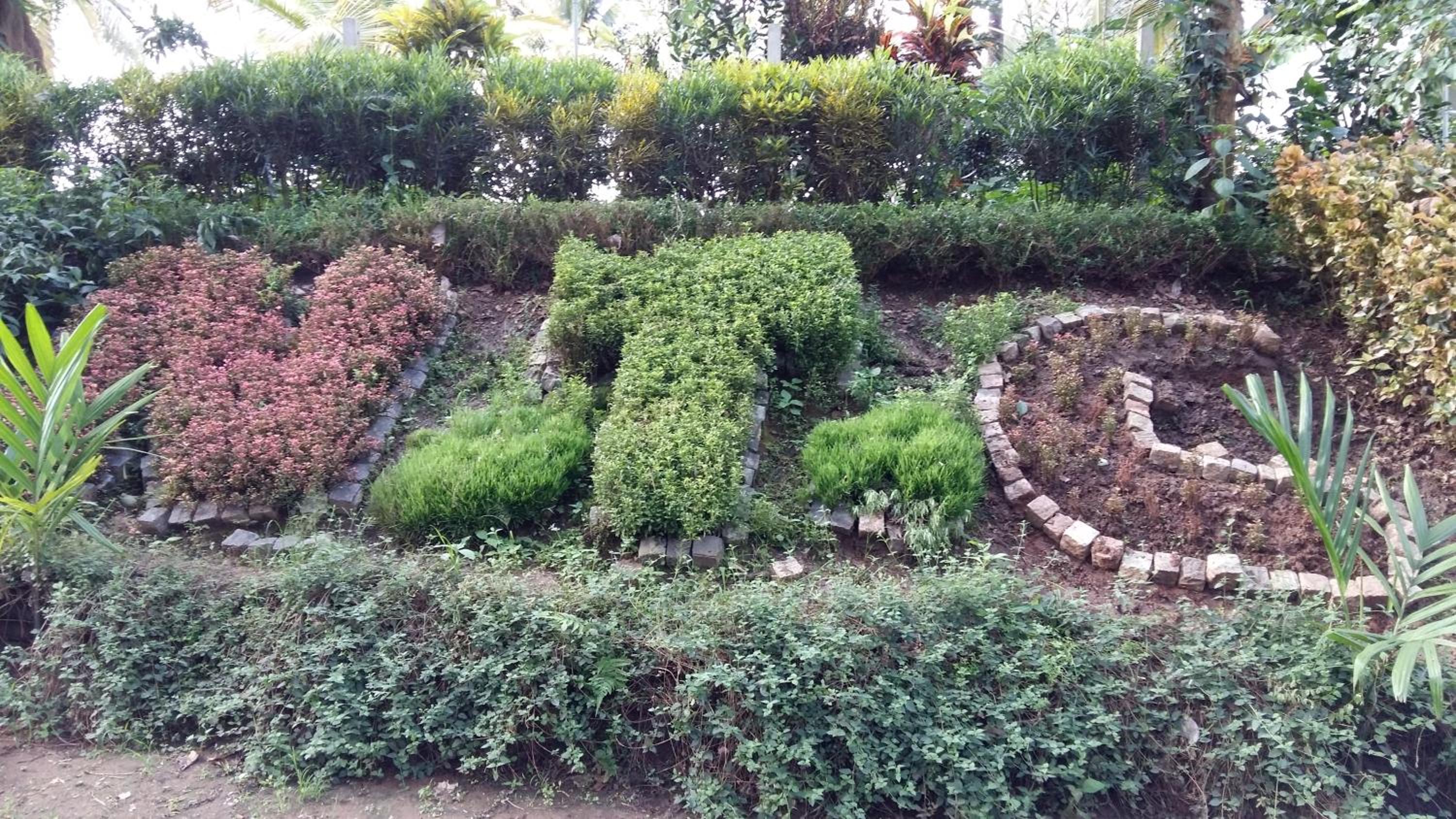Photo 16