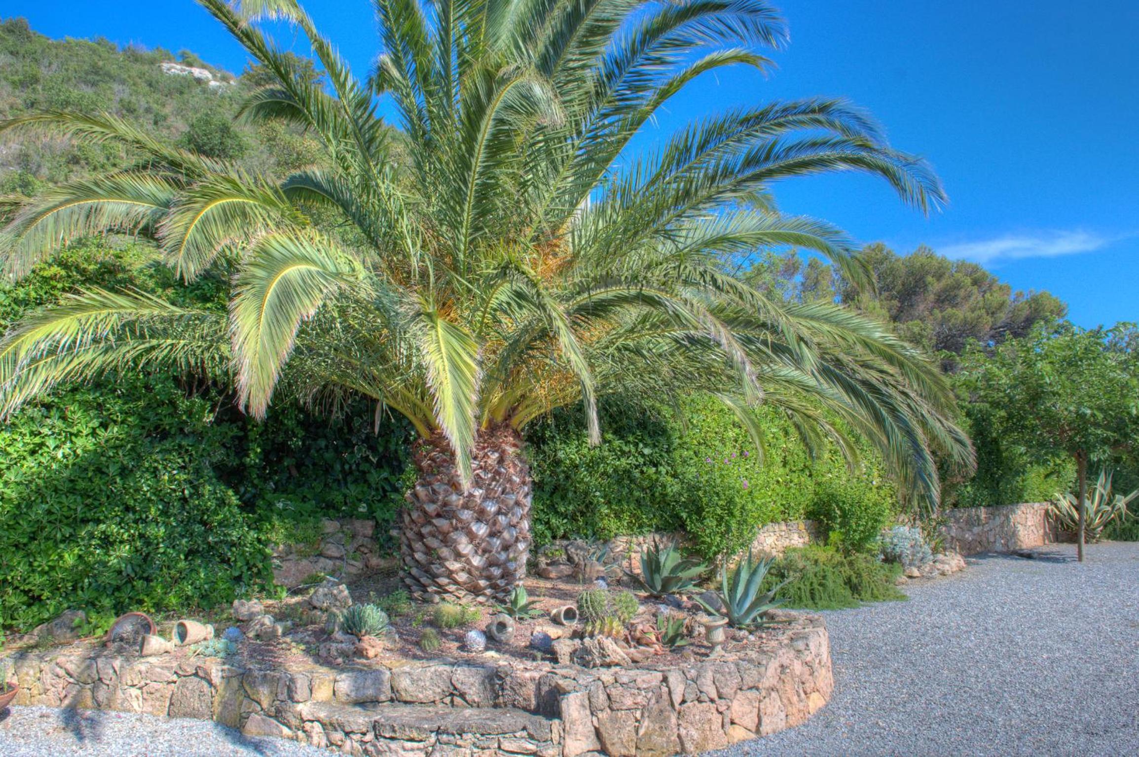 Villa Sole