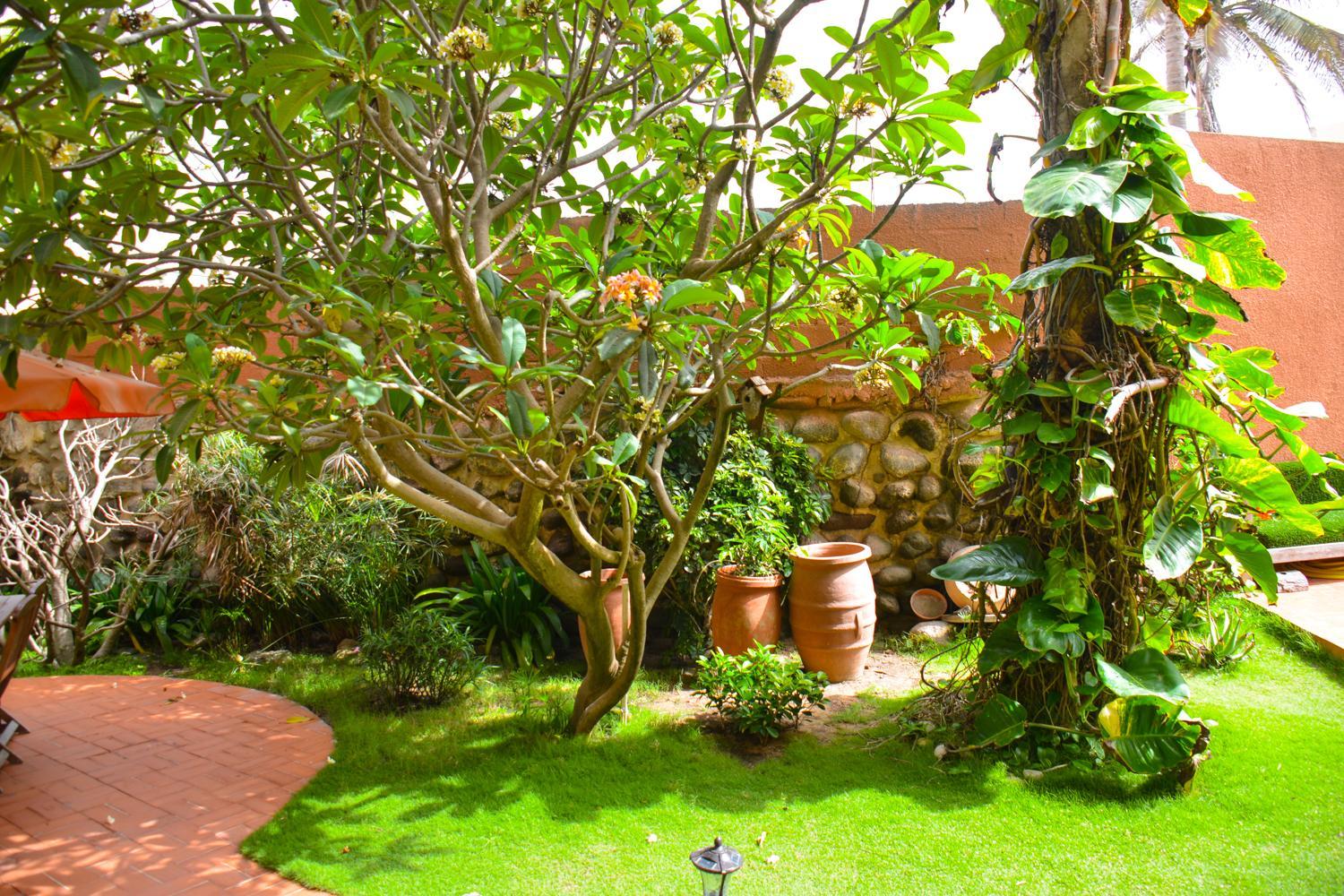 Photo 20