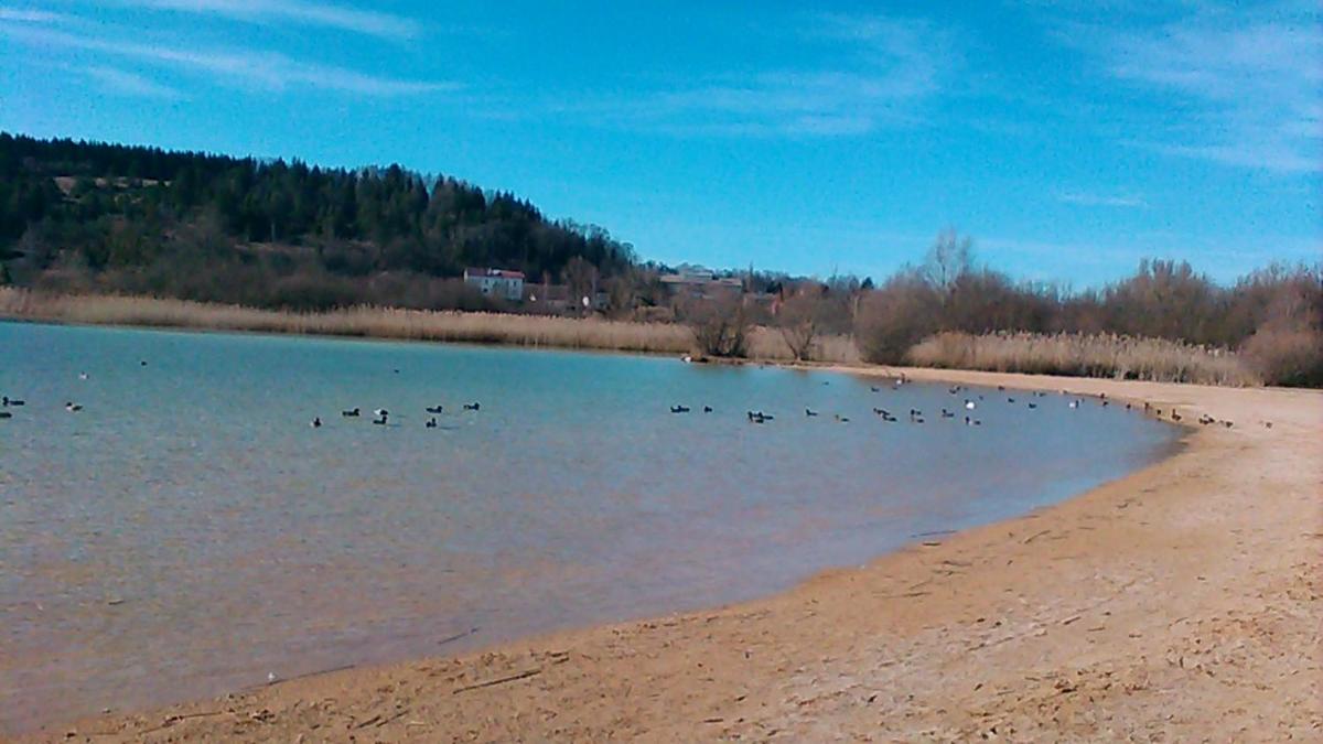 Photo 20