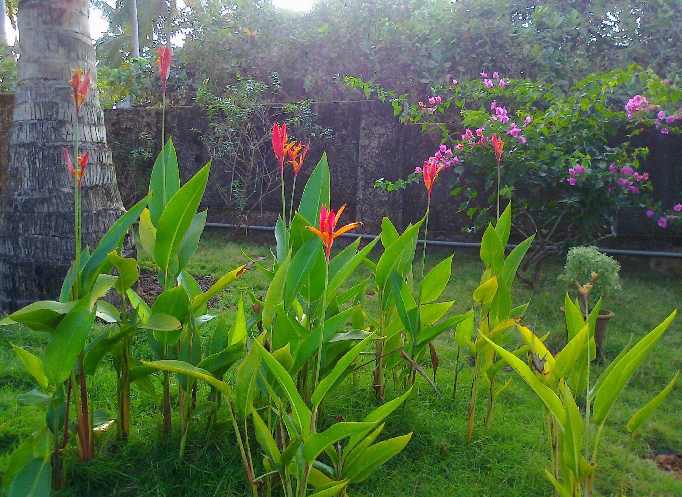 Photo 63