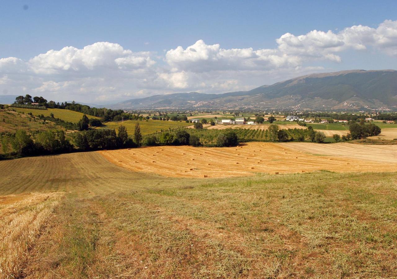 Agriturismo Il Poggiolo