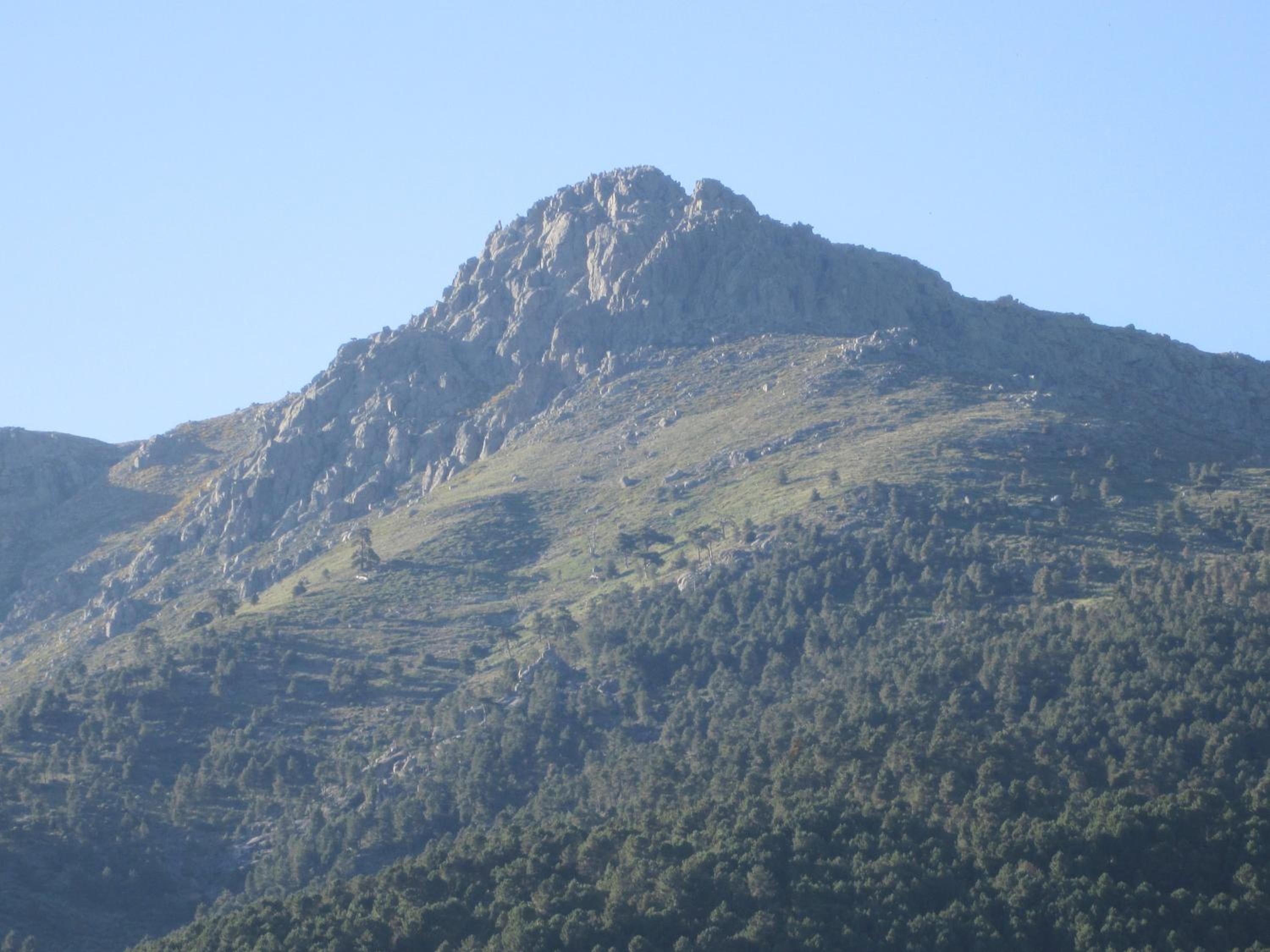La Salamandra
