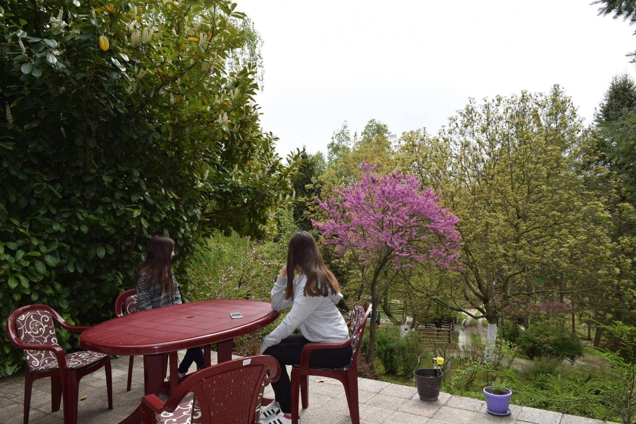 Photo 32