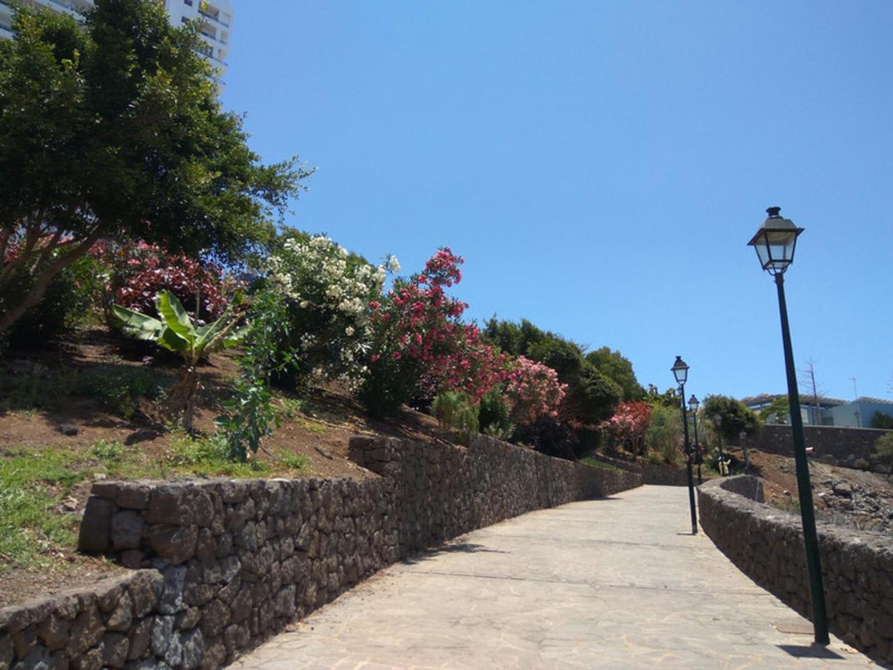 Studio Playa Paraiso Tenerife - ocean view and internet wifi optical fiber - for rent view 2