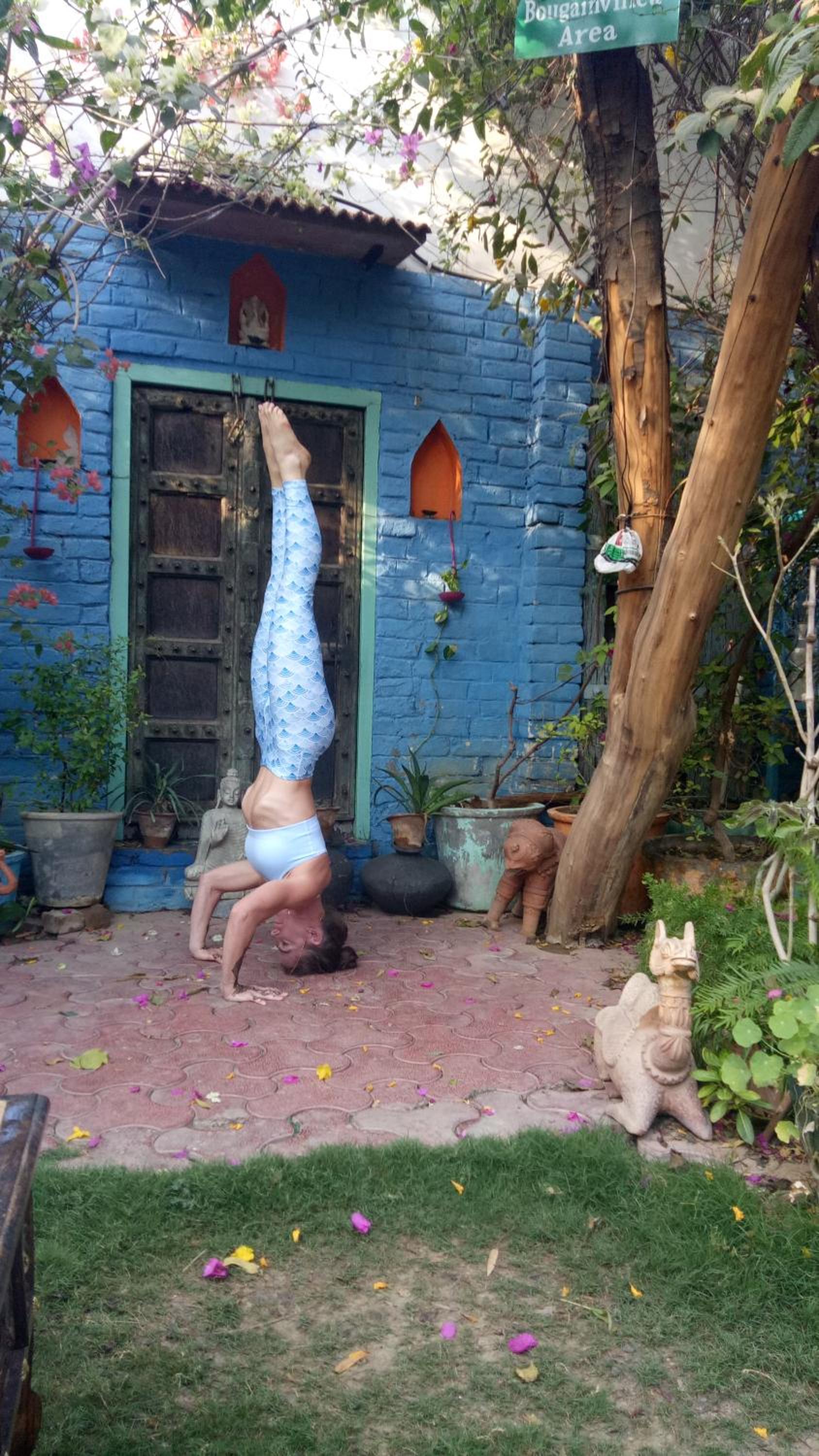 The Coral Tree Boutique Homestay