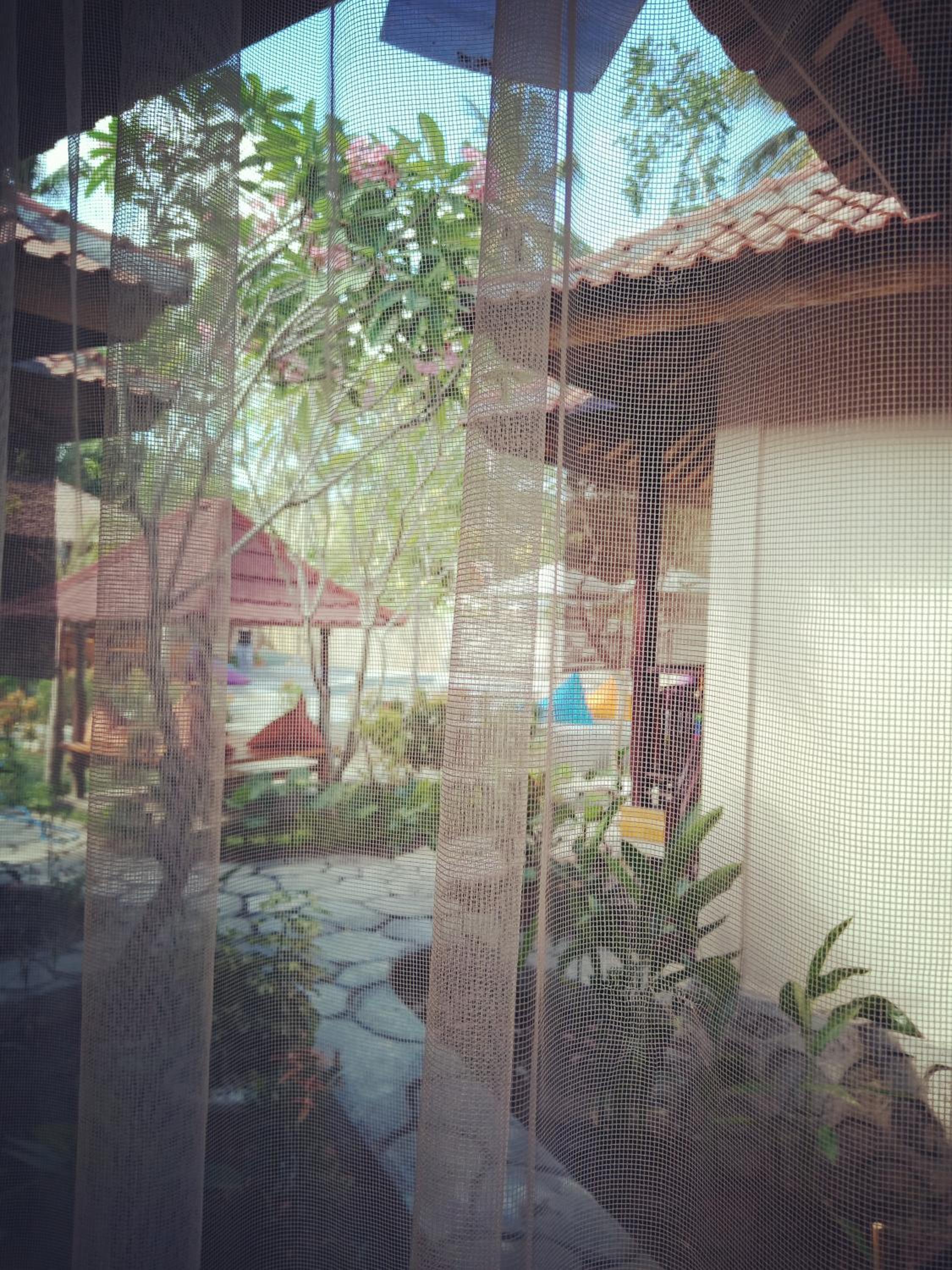 ZiFa Mandalika