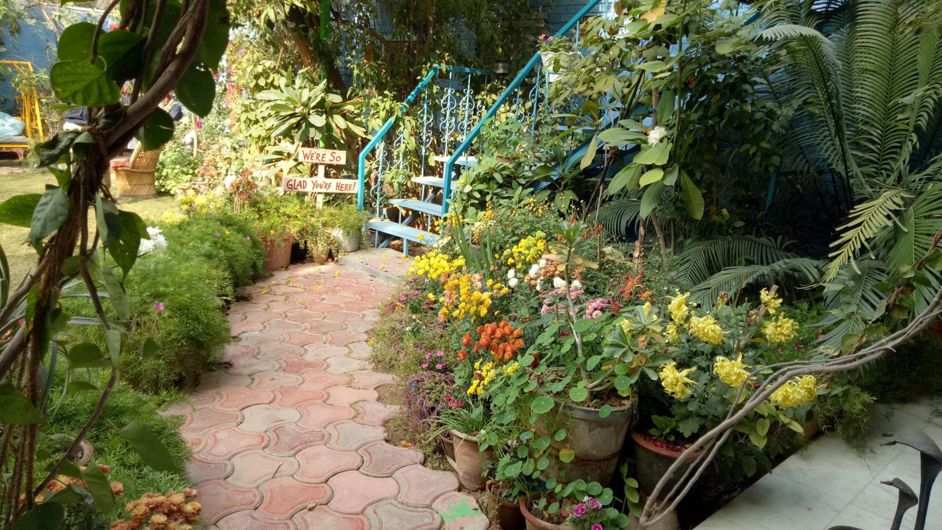 The Coral Tree Boutique Homestay