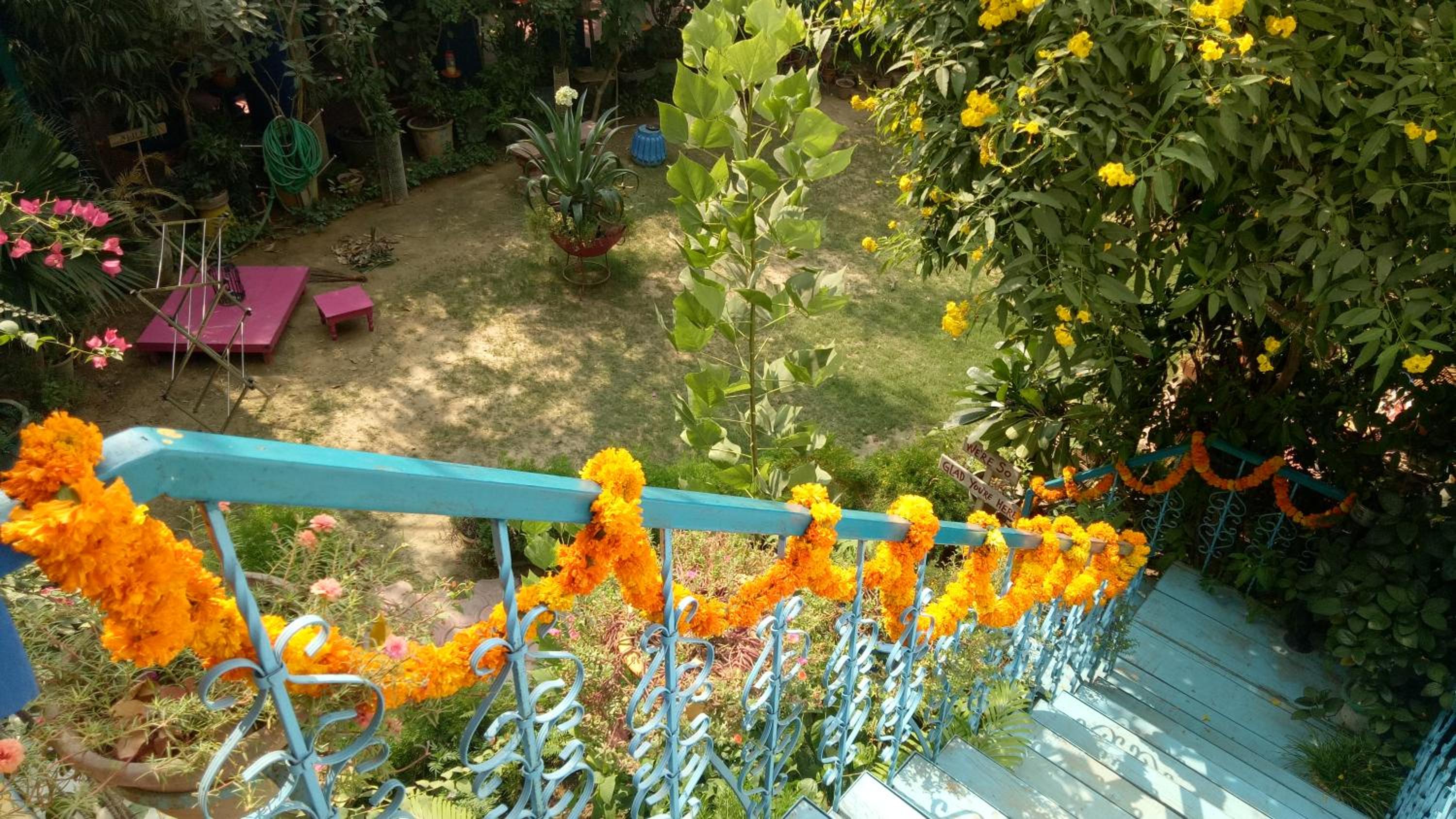 The Coral Tree Boutique Homestay
