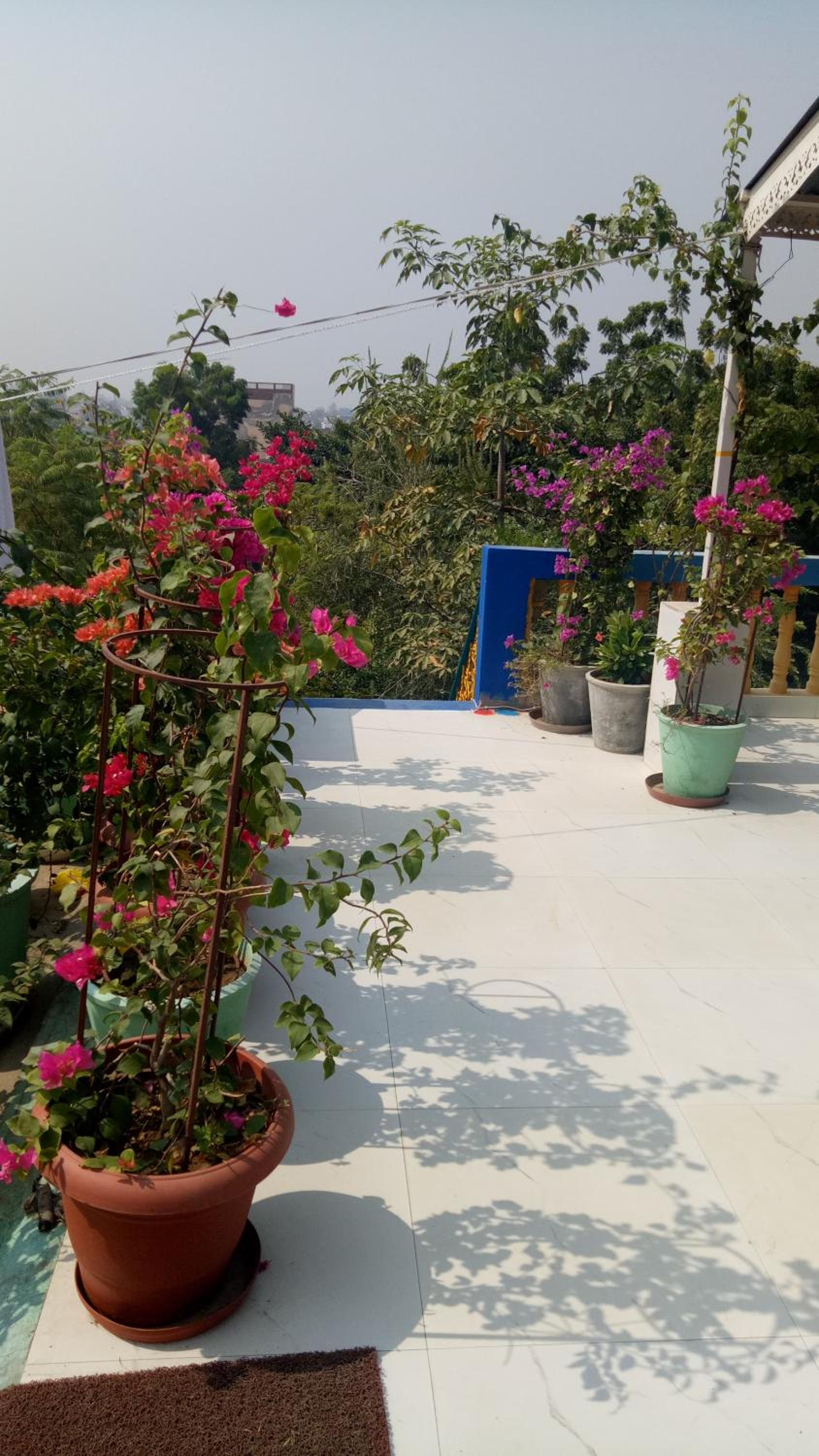 The Coral Tree Boutique Homestay